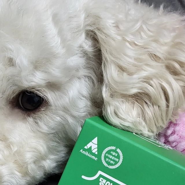 버터 (BUTTER) on Instagram: "#광고 🌱 친구들 안녕~ 월요일도 잘 보냈어?? 나는 너무 축축 쳐지고 힘들더라구... 이런게 월요병인가봐😔 주말이좋아... 그리고 요즘 내가 기침을 조금해서 누