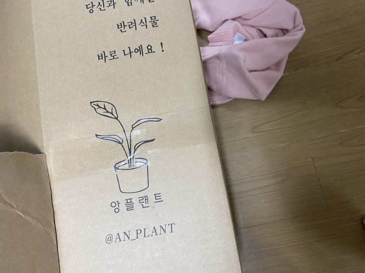 꽈추인형 바디필로우 웃긴선물 추천 ㅋㅋ