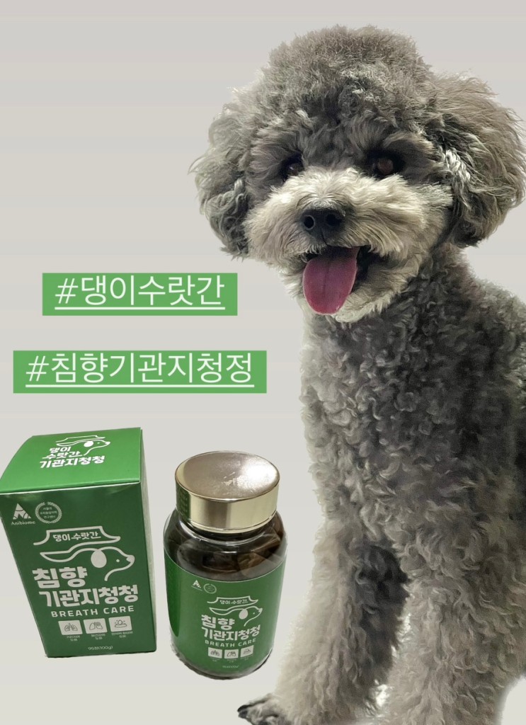 댕이수랏간 침향 기관지청정 | 기호성좋은 강아지 기관지영양제 | 기관지협착증 약 추천