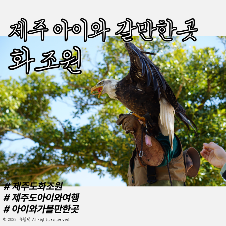 제주 애월 아이와 가볼 만한 곳 추천 독수리 비행 관람 "화조원"