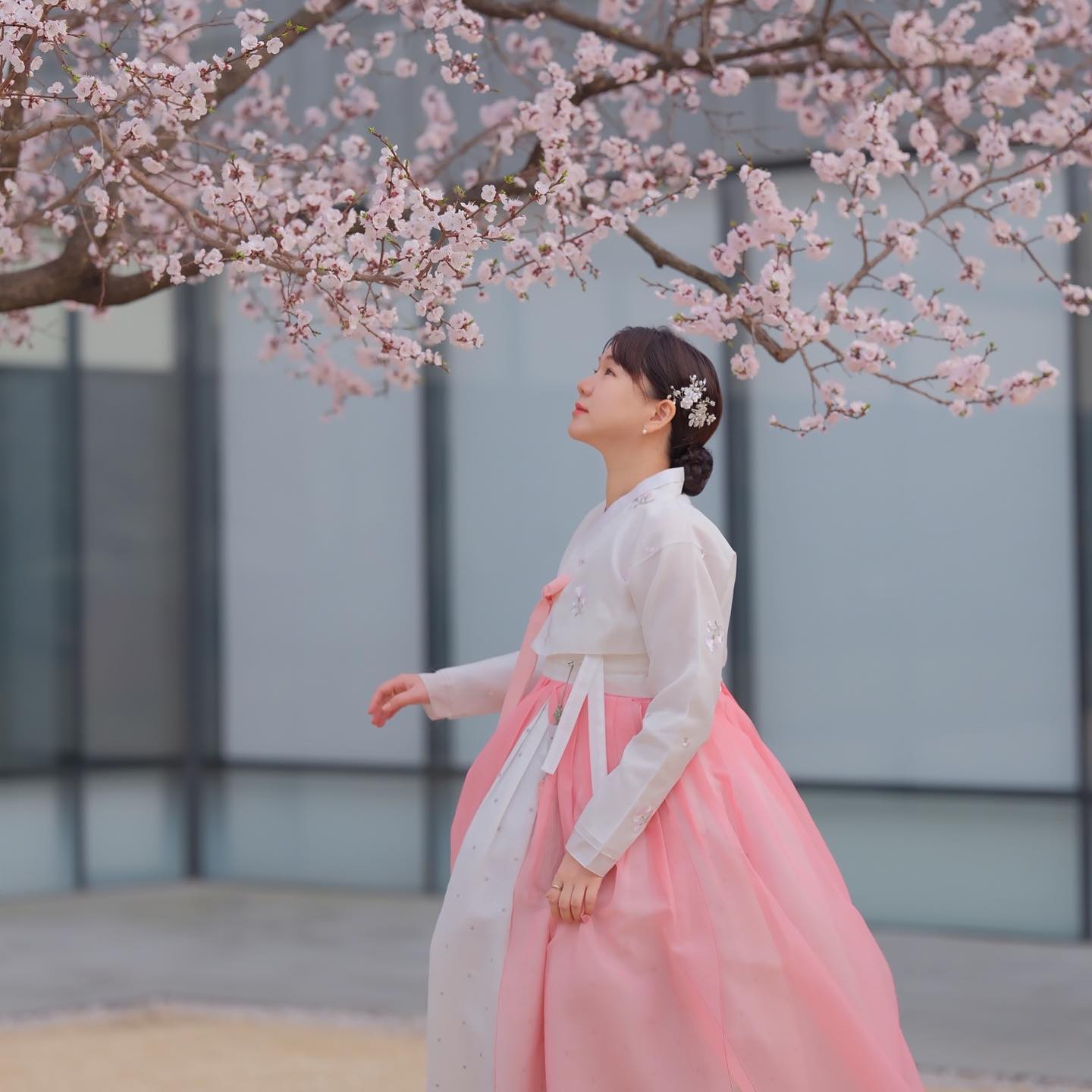 요즘 푹 빠져있는 #한복
사진찍기 딱 좋았던 🥹

검색 오만번으로 찾아간 
#금준당한복 
#한복대여 로
금박X 링속치마X
위주로 찾았더니 나왔어용!

🏰궁은 안가고 북촌 돌았는데
너무너무 예뻤던 하루🌸

시간도 4시간으로 넘나 
넉넉하고 9시까지 해서
밤까지 사진 찍기 좋았어용❤️

#금준당
서울 종로구 북촌로5가길 33 201호

👗 4시간 (4.5) 
헤어, 장신구, 버선, 꽃신 포함
