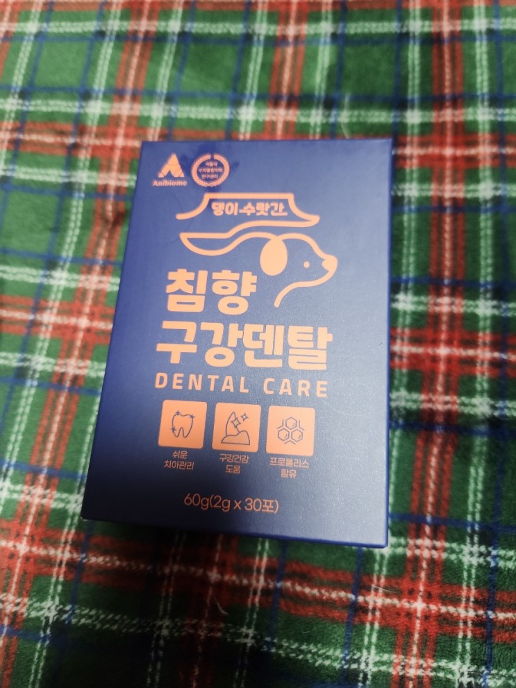 댕이수랏간 침향구강덴탈 후기 / 강아지 치석제거