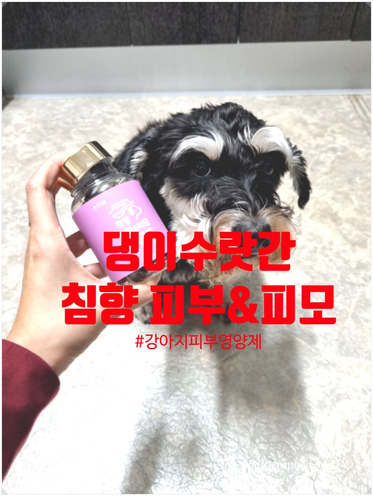 강아지영양제 댕이수랏간 침향 피부&피모 강아지피부염 예방하는 방법