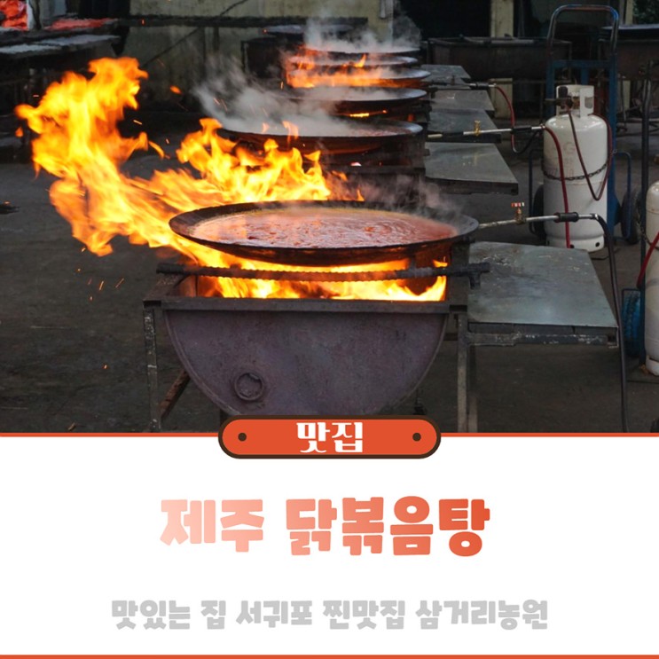 제주 닭볶음탕 맛있는 집 서귀포 찐맛집 삼거리농원