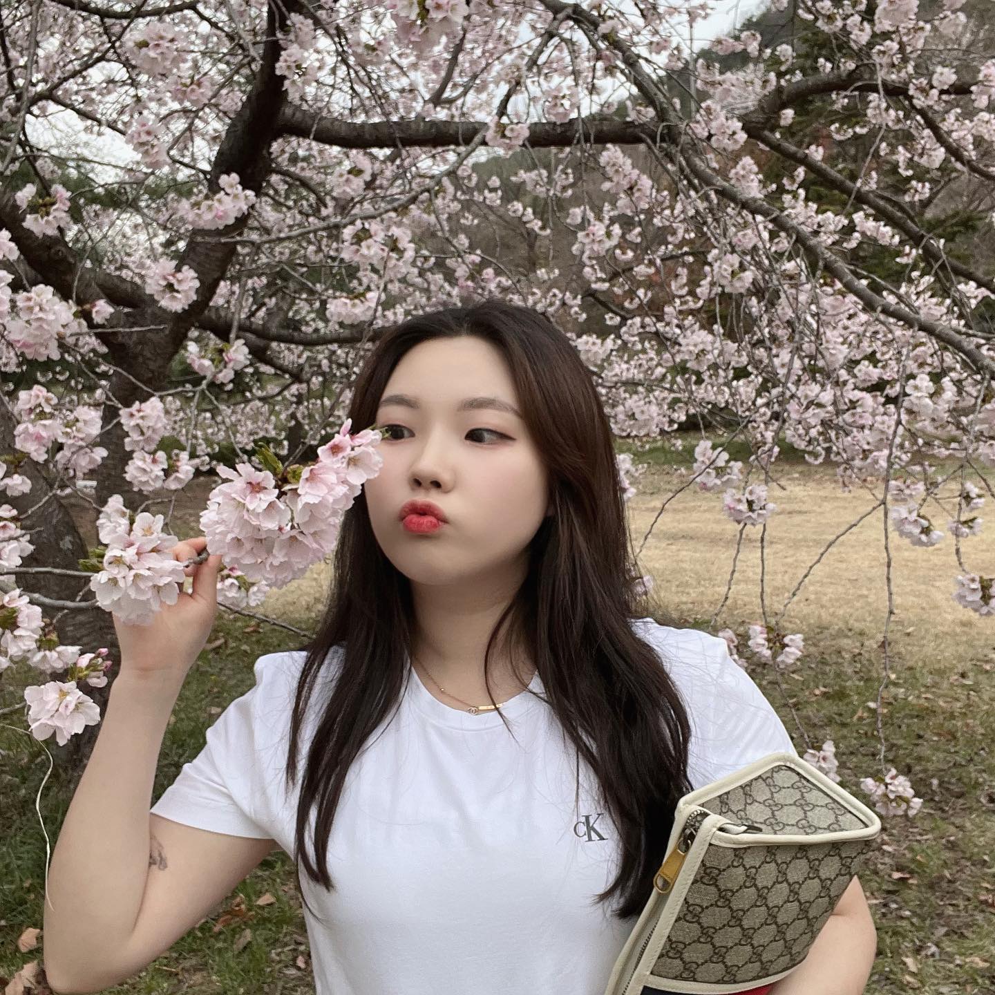 나도 벚꽃 봤당🌸