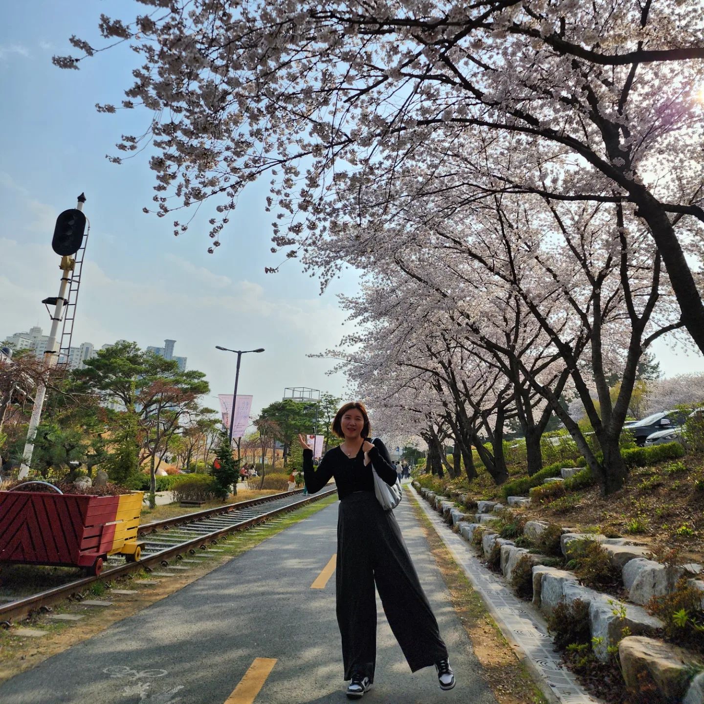 또 다시 봄 🌸 

#포항벚꽃 #포항철길숲 #흐린날벚꽃 #포항벚꽃명소추천