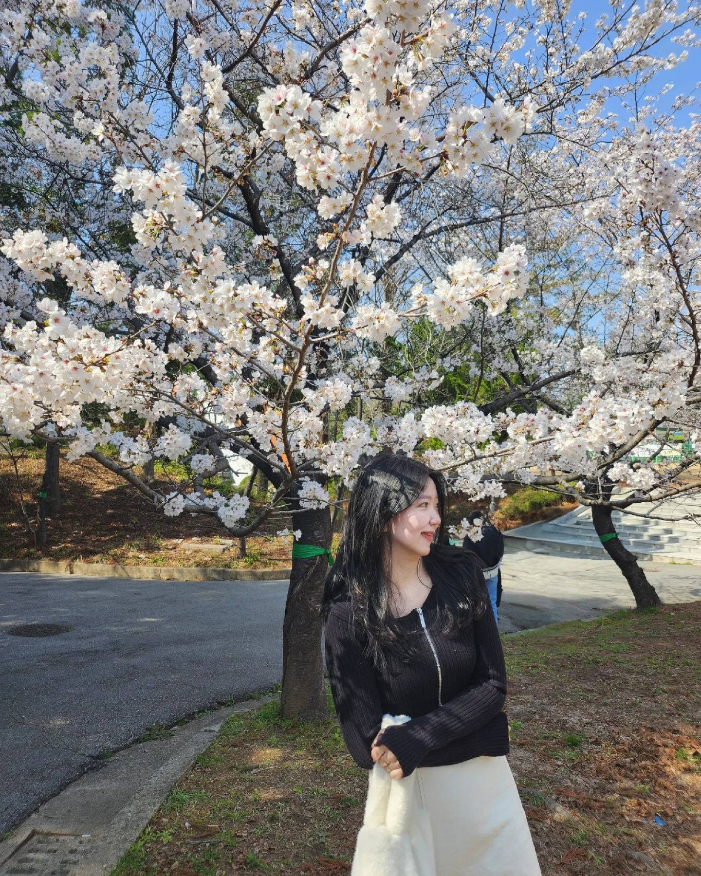 안녕하세요 〰️〰️👻 마조네로부터 니트집업을 협찬받았어요 !
협찬 너무 오랜만인데 하필이면 레이저 맞고 숨어다니는 시즌이라 언제 사진 찍지 고민했어요 ㅋㅋㅋ
니트집업이면서 크롭이여서 힙한 느낌이 나요
평소에 제가 입는 옷이랑은 스타일이 달랐어요! (힙:))
그런데 치마랑 입으니까 느낌이 확 다르더라구요 😽
롱치마랑 입어주니까 꽃구경 갈 때 입어도 어울리는 룩이되었습니당〰️〰️💮💮

특히 마음에 든 부분은 소매 부분인데 손가락 끼워입는 식이구 길어서 좋았어요 
소재도 탄탄한 느낌이 있어서 좋더라구요 
다들 꽃 구경 재밌게 다녀오시구 다음에 또 봐요 🌸

#마조네 #majournee #니트 #니트집업 #stylemate #스타일메이트
majournee_official stylemate_official
