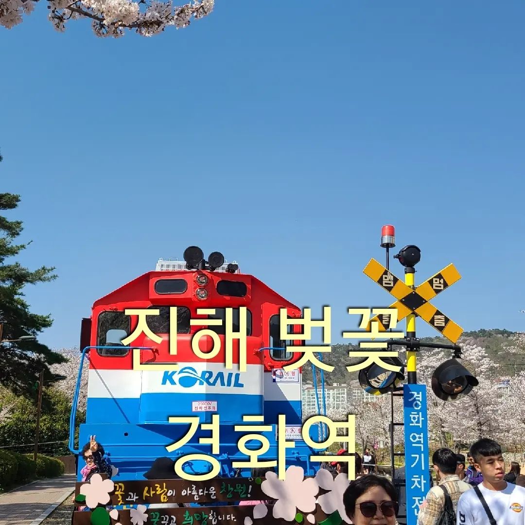 #진해벚꽃 #진해벚꽃명소 
#진해꼭가야하는곳 #경화역 #벚꽃기차
#진해_경화역 #사람많음주의 #차량많음주의
#안지향챌린지 #기록스타그램 #여행스타그램 

진해벚꽃 3탄 ~~~^^

진해벚꽃 명소로 이름난 경화역입니다~ 
역시 이름값을 하는지 
사람과 차가 흐미~~~😄😄😄

경화역에 랜드마크 빨청의 기차는
원래있던 자리에서 조금더 앞으로 나가있어서
꽃비를 피해있더군요~
그래서 사람들이 흐드러진 벚꽃아래서
꽃을 만끽하게 되었습니다~❤️
약간 아쉽기도 하고 서운하더이다 ^^
앙꼬가 빠진 느낌?? ㅎ

창원시에서 순환버스를 운행하고 있으니
그걸 이용하시는게 좋을것같구요
아니면 조용한 골목길에 주차하시고
대중교통을 이용하시면
더 편하게 관광하실수 있을듯요~~^^

꽃비가 내리면 더 멋질것같은
진해의 경화역이었습니다~ 💕💕