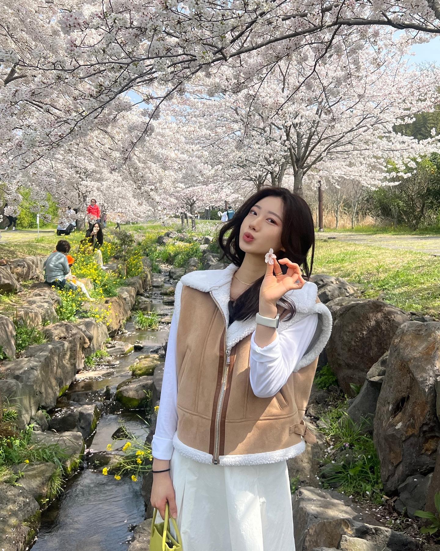 제주 벚꽃 열차 느지막이 탑승 ♬