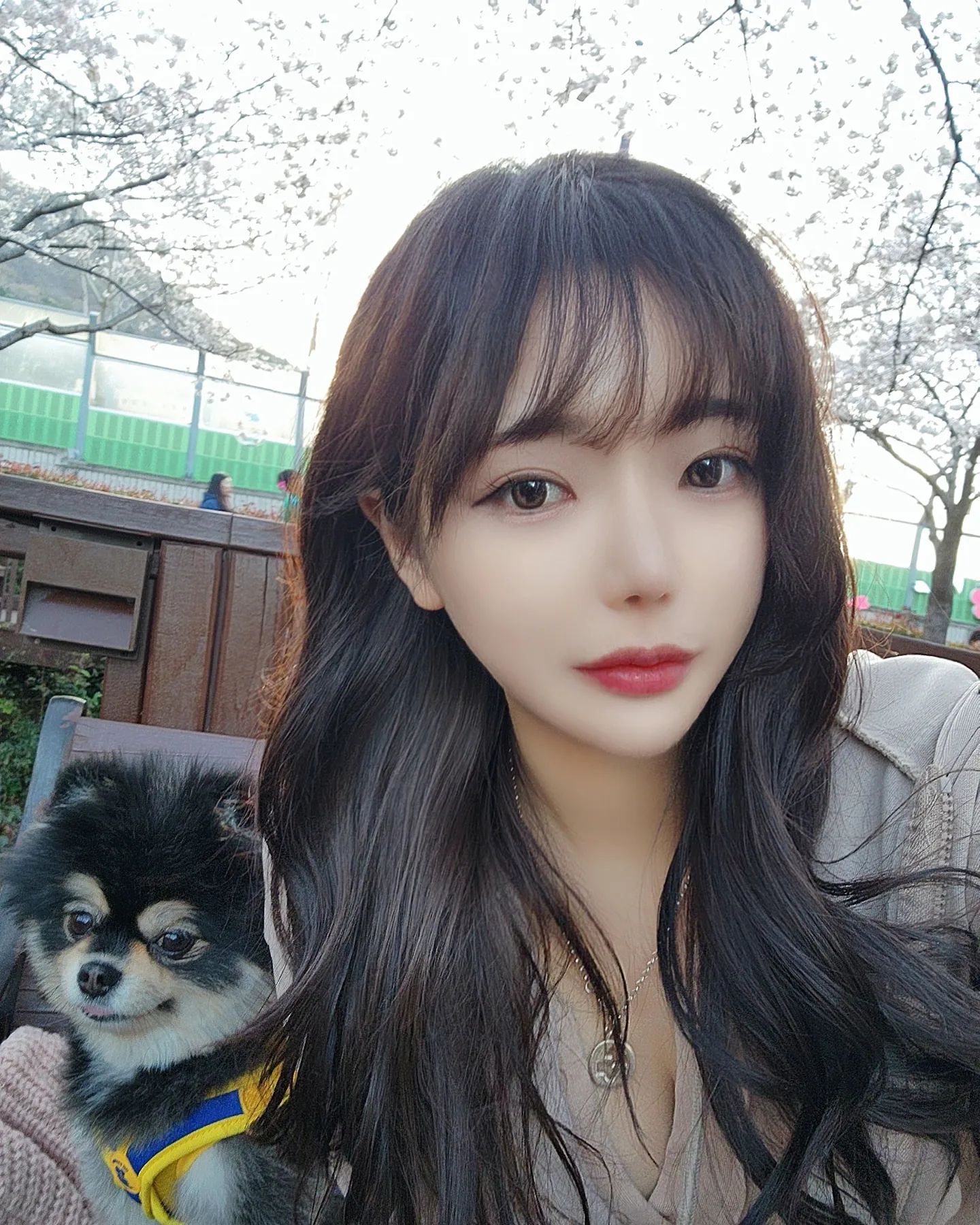 나랑 #벚꽃 보러 가장 🌸
