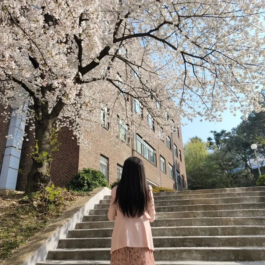 🌸벚꽃구경🌸