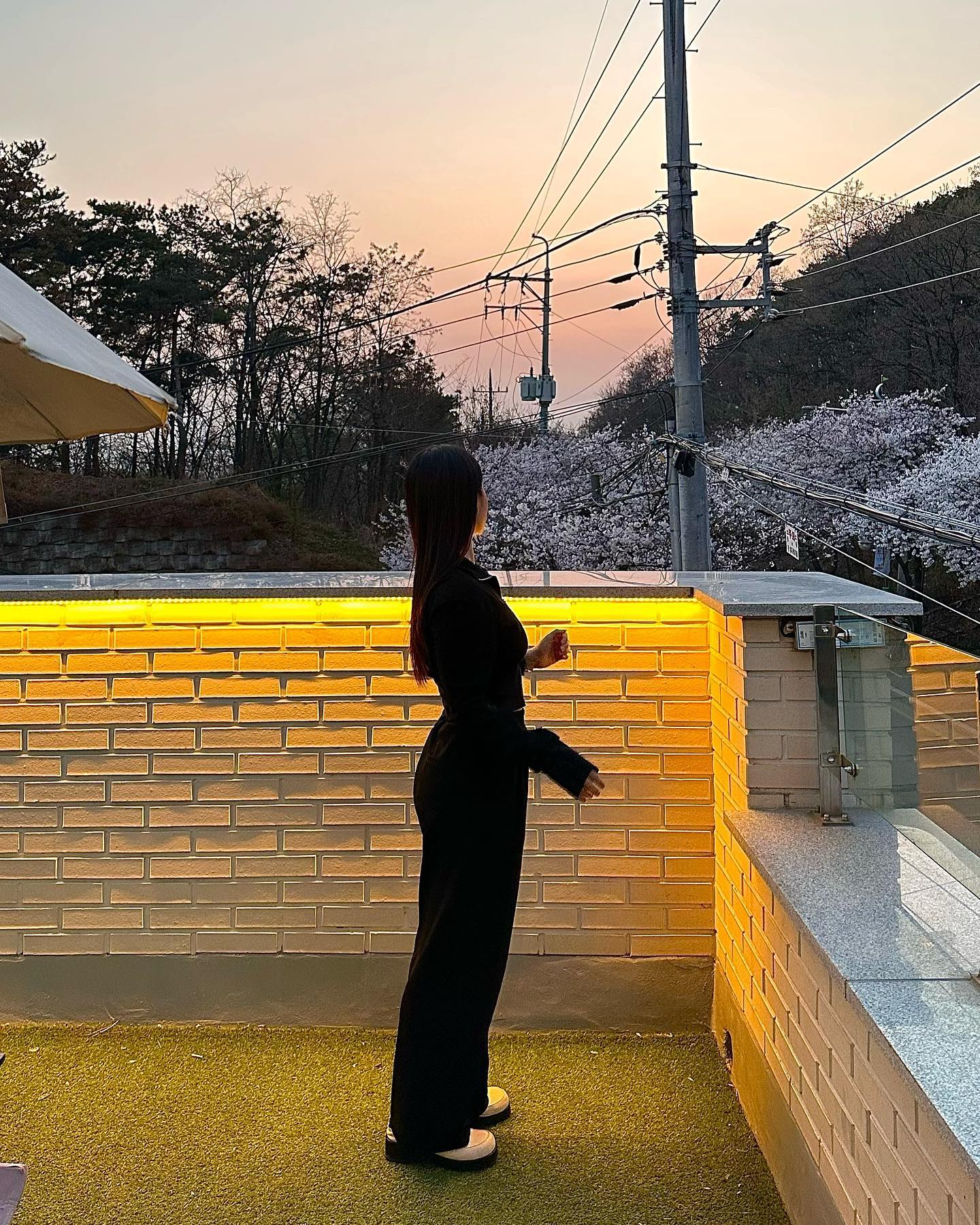벚꽃 뷰 사람 없이 즐길 방법은 퇴사 뿐이다 🌸