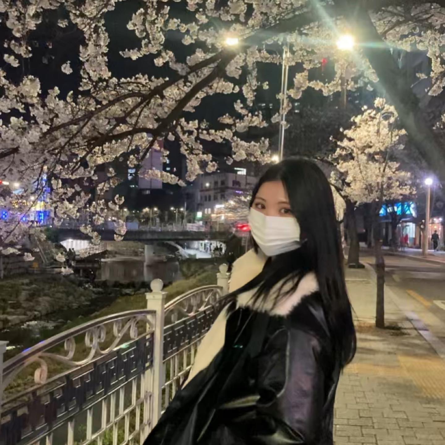 벚꽃구경🌸