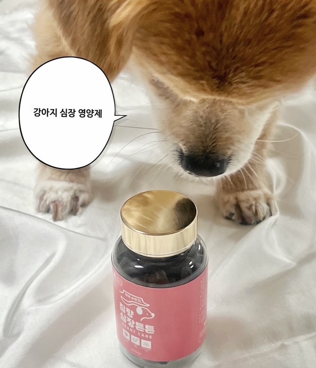 심장협착증 예방 기호성 좋은 강아지영양제 댕이수랏간 침향 심장 튼튼