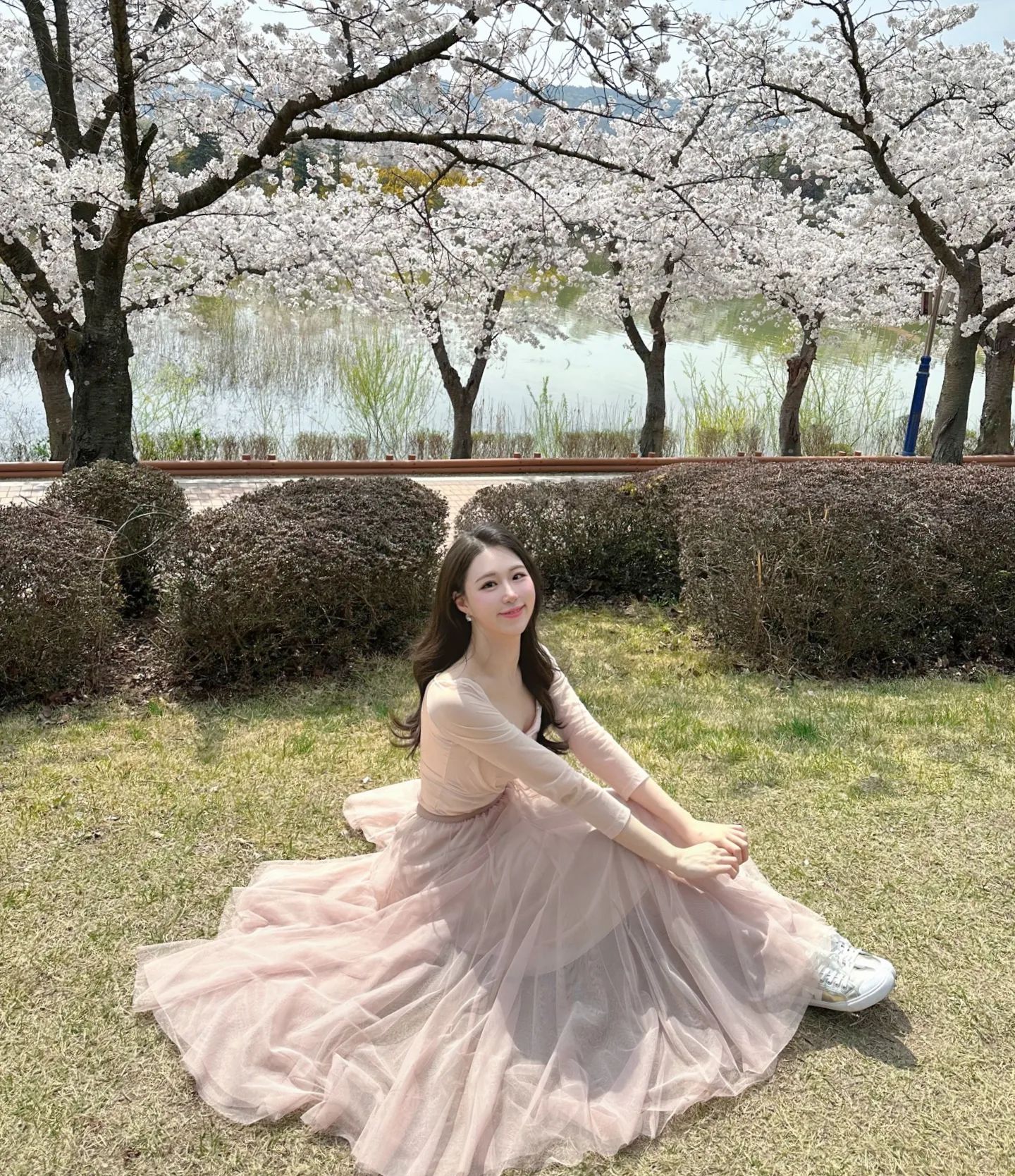 나 너무 행복했네..♥︎ 이렇게 딱! 절정일 때 온 건 처음인 것 같은 #경주 🌸 매해 왔지만 드디어 올해 벚꽃 눈치게임 성공!🌸