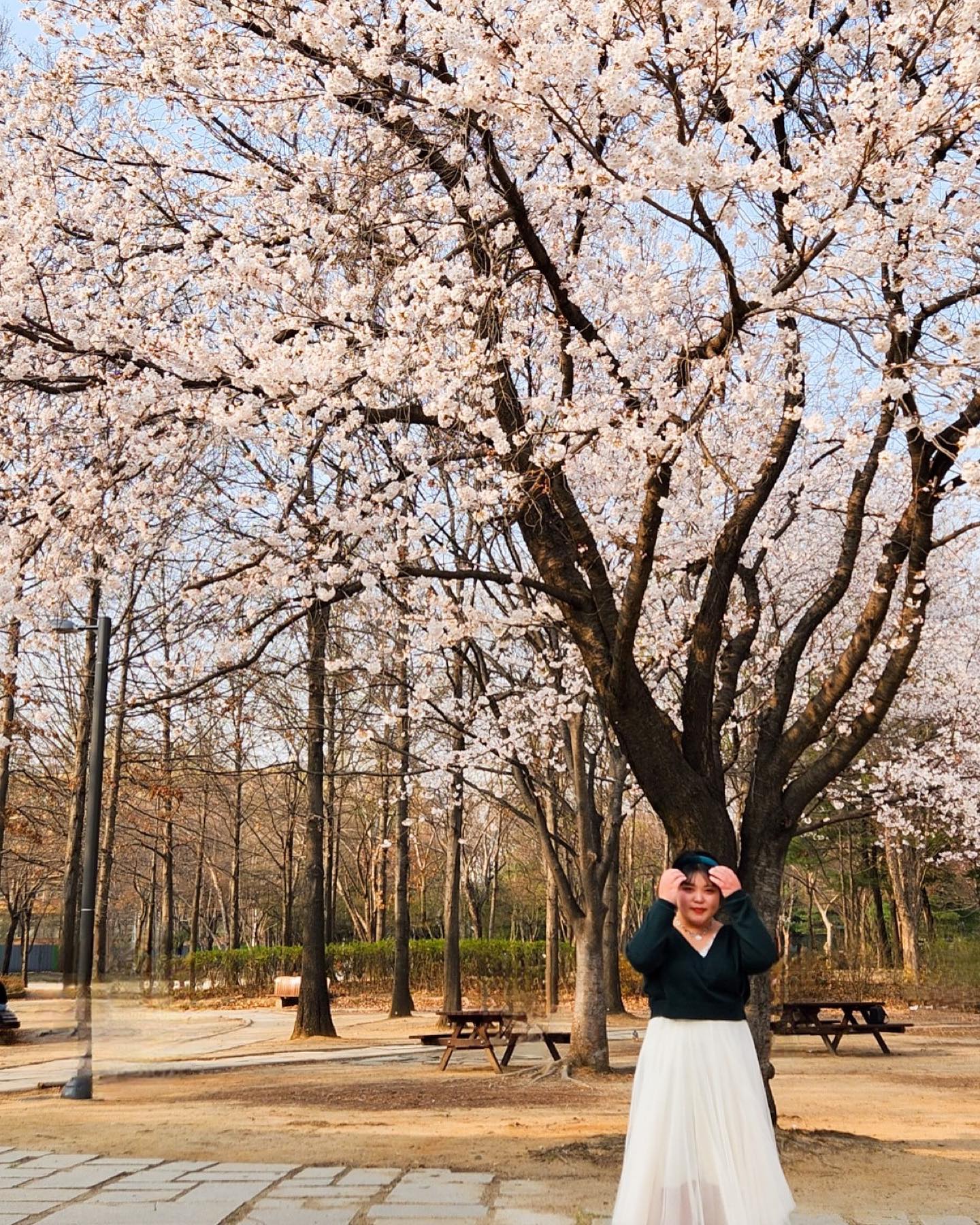 휴무인 사람 냅다 데려다 사진 찍어달라 찡찡거리기 성공 🌸