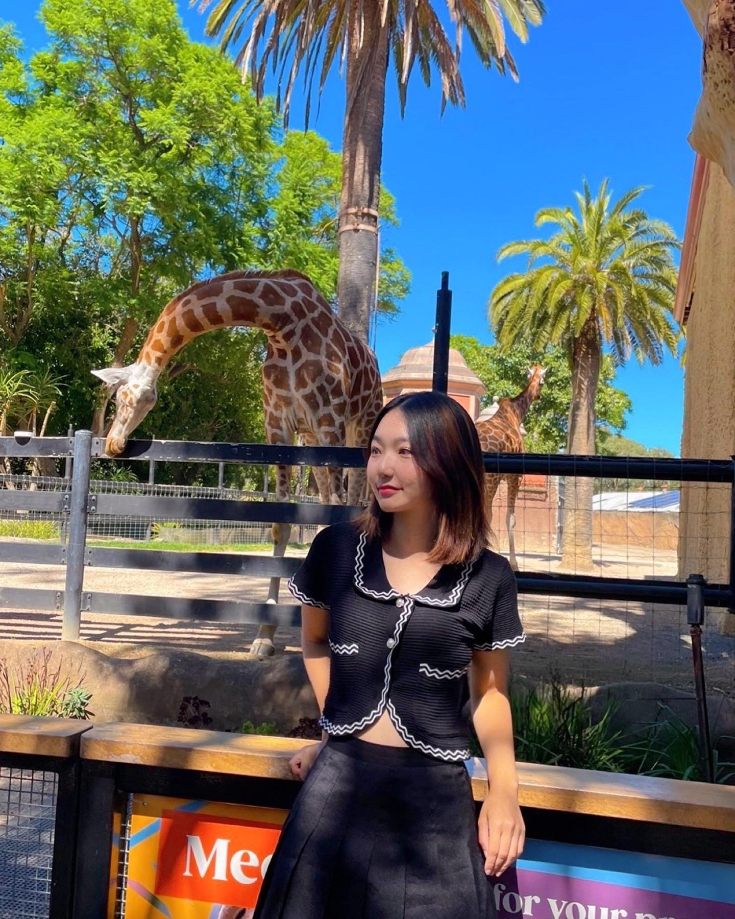 Adelaide zoo 

#호주 #호주여행 #호주일상 #호주생활 #호주유학 #호주여행🇦🇺 #호주워킹홀리데이 #호주워홀 #애들레이드