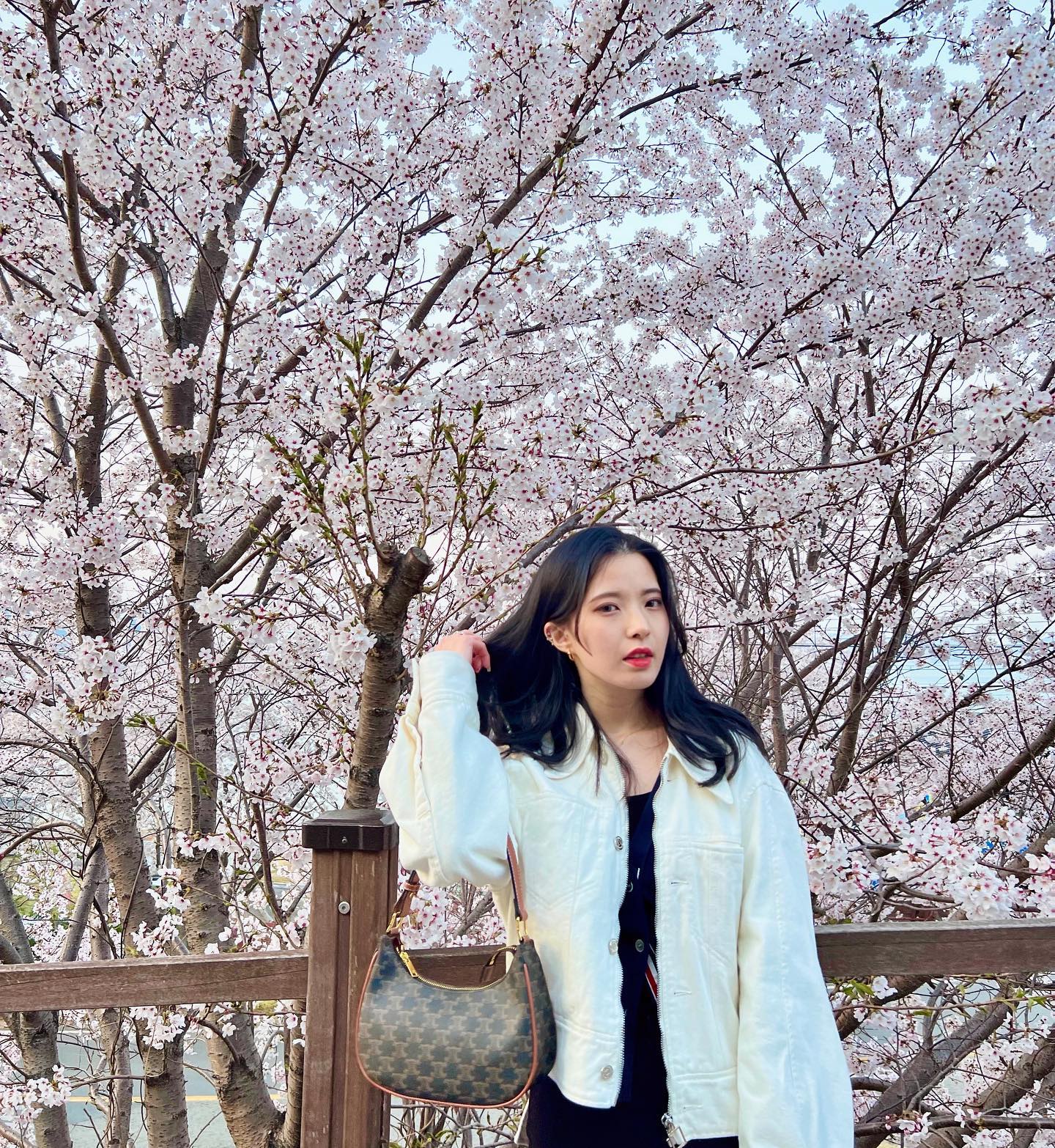작년 벚꽃 묵혀놓기 아까워서 급업뎃🌸
머리 자를까 말까 급 고민..❣️