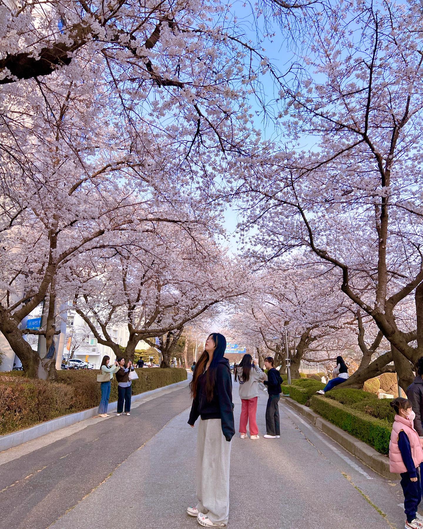 밤에는 벗고 보기?