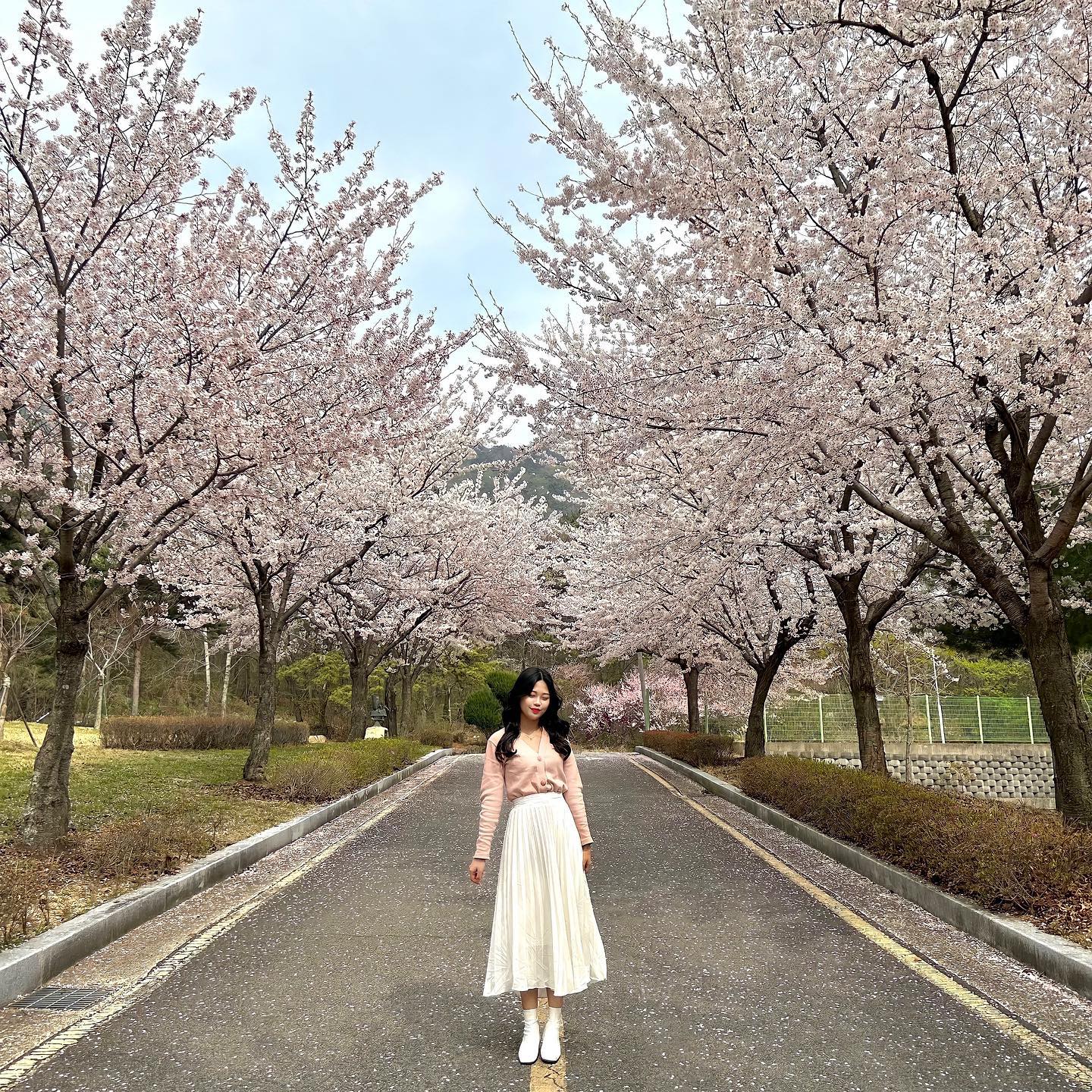 꽃 쥬아🌷