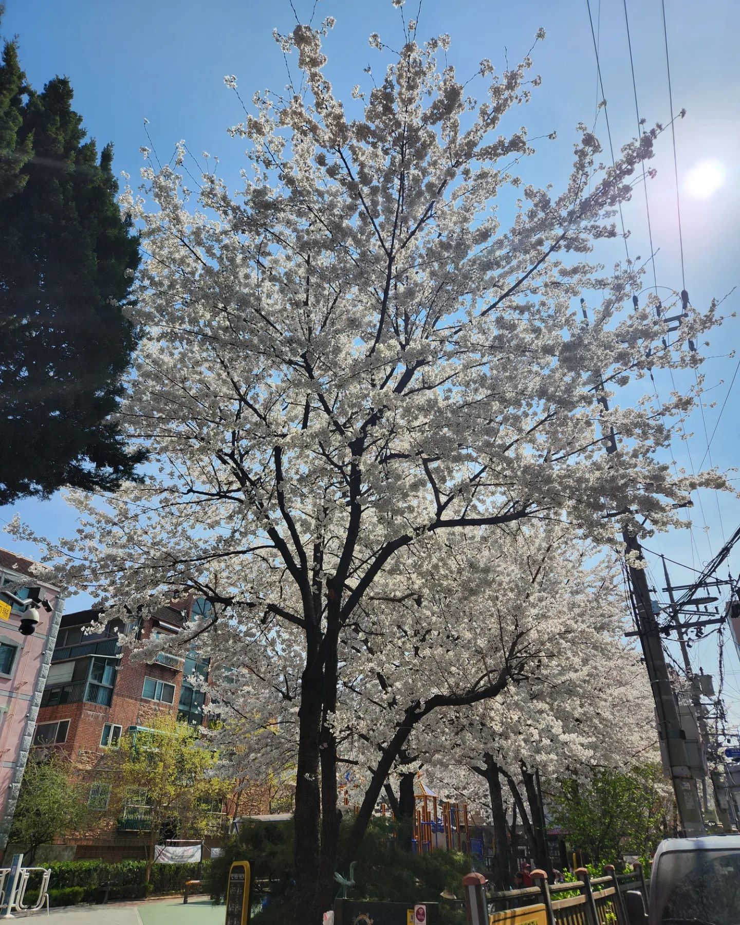 봄봄봄~