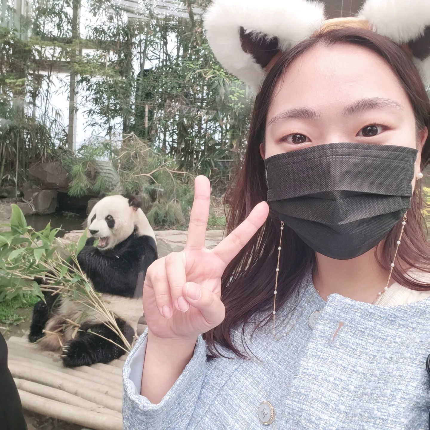 🐼동심의 세계🦜
.
.
.
.
.
#동물친구들 #에버랜드동물원 #앵무새공연도보고 #에버랜드바다사자🦭 #바다사자다이빙 #푸바오🐼 #러바오🐼 #용인푸씨