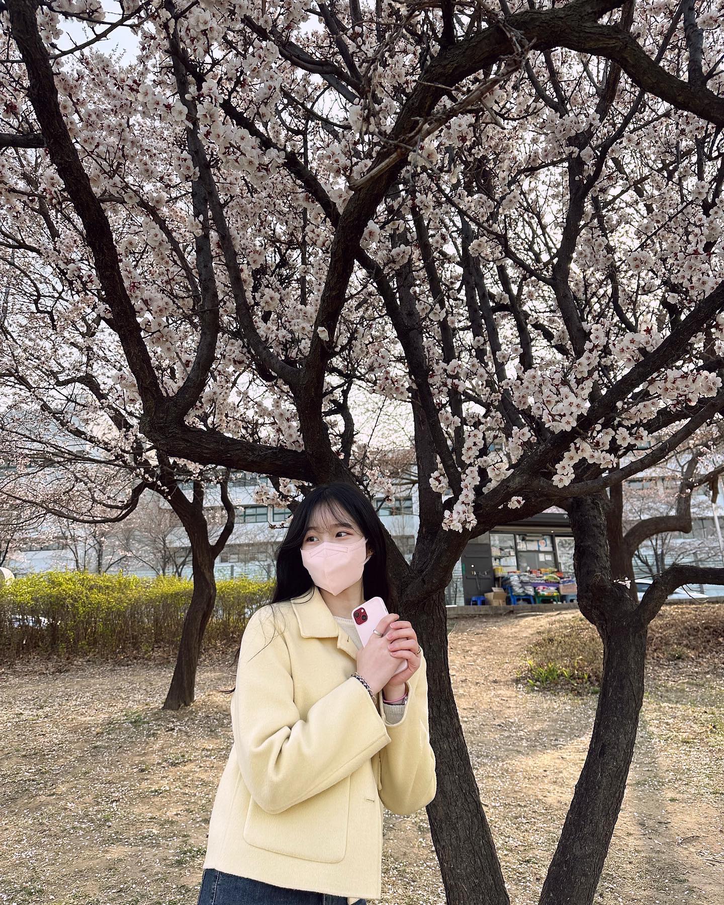 여의도에 벚꽃이 예쁘게 피었어요🫶🏻
다들 따뜻할때 한번 방문해보시길 💛

#여의도 #여의도벚꽃 #여의도벚꽃축제 #벚꽃 #벚꽃명소 #벚꽃축제