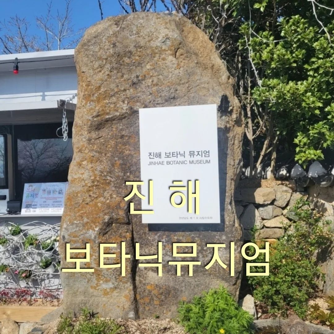 #진해_보타닉뮤지엄 #진해 #야생화
#진해_가볼만한곳 #안지향챌린지 
#전국방방곡곡 #구석구석 #여행스타그램 
#기록스타그램 

진해 보타닉뮤지엄 💕

위치: 경남 창원시 진해구 진해대로1137번길 89 진해보타닉뮤지엄 매표소

여기는 사립 수목원이에요❣️
한적한 길을 따라가다보면
커다란 주차장과 함께
멀리 진해 앞바다가 보이는 
멋진 곳에 위치하고 있어요👍

이곳에는 5000종 이상의 
야생화가 있다고 하네요
제가 좋았던 것은 
어디에서인지 모르게 꽃향기가 진하게
퍼져나와 코를 즐겁게 해준 것이에요
그래서 무슨 꽃인지 코를 들이대며
향기에 취해보고
꽃이름이 뭘까도 알아보고 했어요 💕
(지금은 또 하나도 생각안난다는~)

야간에도 볼수있게 
예쁘게 꾸며놓은것같아요
밖으로 나가면 아이들도 좋아할수 있는 
핑크사파리가 있다고 하더라구요
저는 그냥 패스~~☺️☺️

입장료를 내면 커피를 저렴하게 먹을수있다고 하는데 저는 밥먹고 싶어서 요것도 패스~😊
배는 고파도 넓은 수목원은 구석구석
빠진곳없이 다돌고 왔다는~~^^

파란 하늘과 앞에 보이는 바다
그리고 꽃향기가 다했다는
이곳 보타닉 뮤지엄 이었습니다 💕