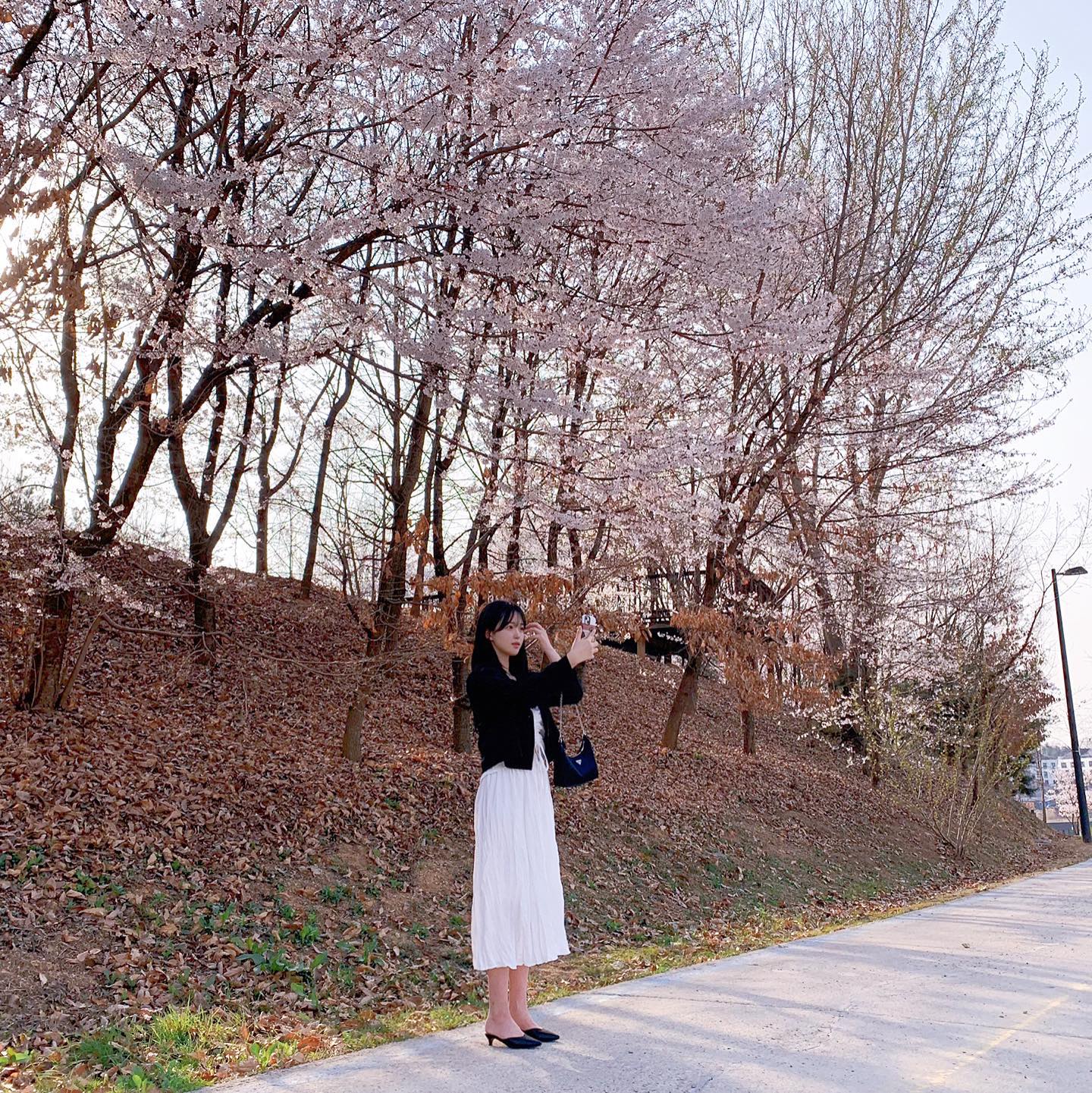 다 피지도 않은 벚꽃 보러가자고 찡찡대니깐 
설레발 친다고 잔소리하는 우리 오빠
막상 가니깐 내 사진 찍어주느라 정신없음ㅋ 
츤데레도 이런 츤데레가 없어용ㅋ