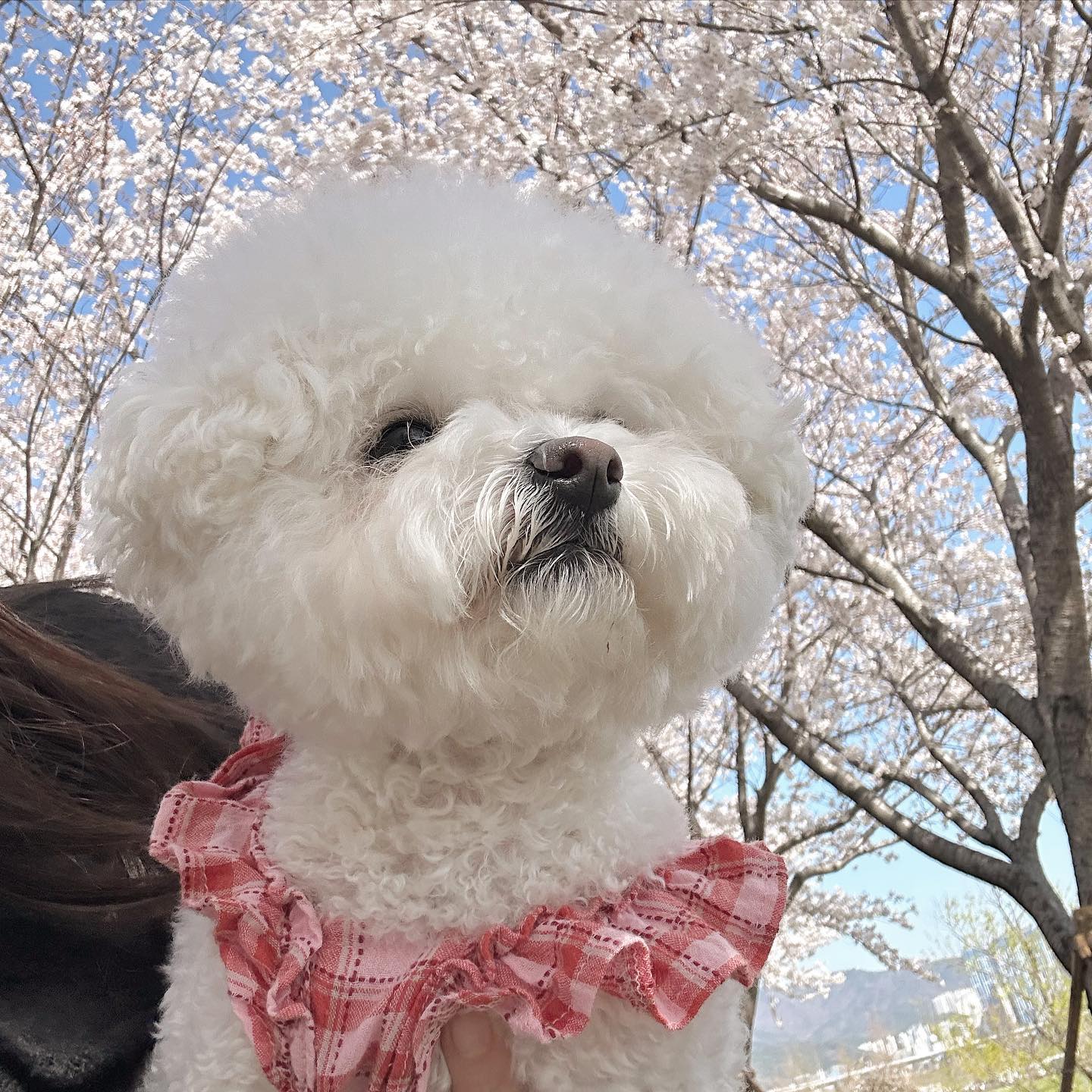 꽃놀이가쟈🌸
할모니 더 힘내서 들어봐🔥