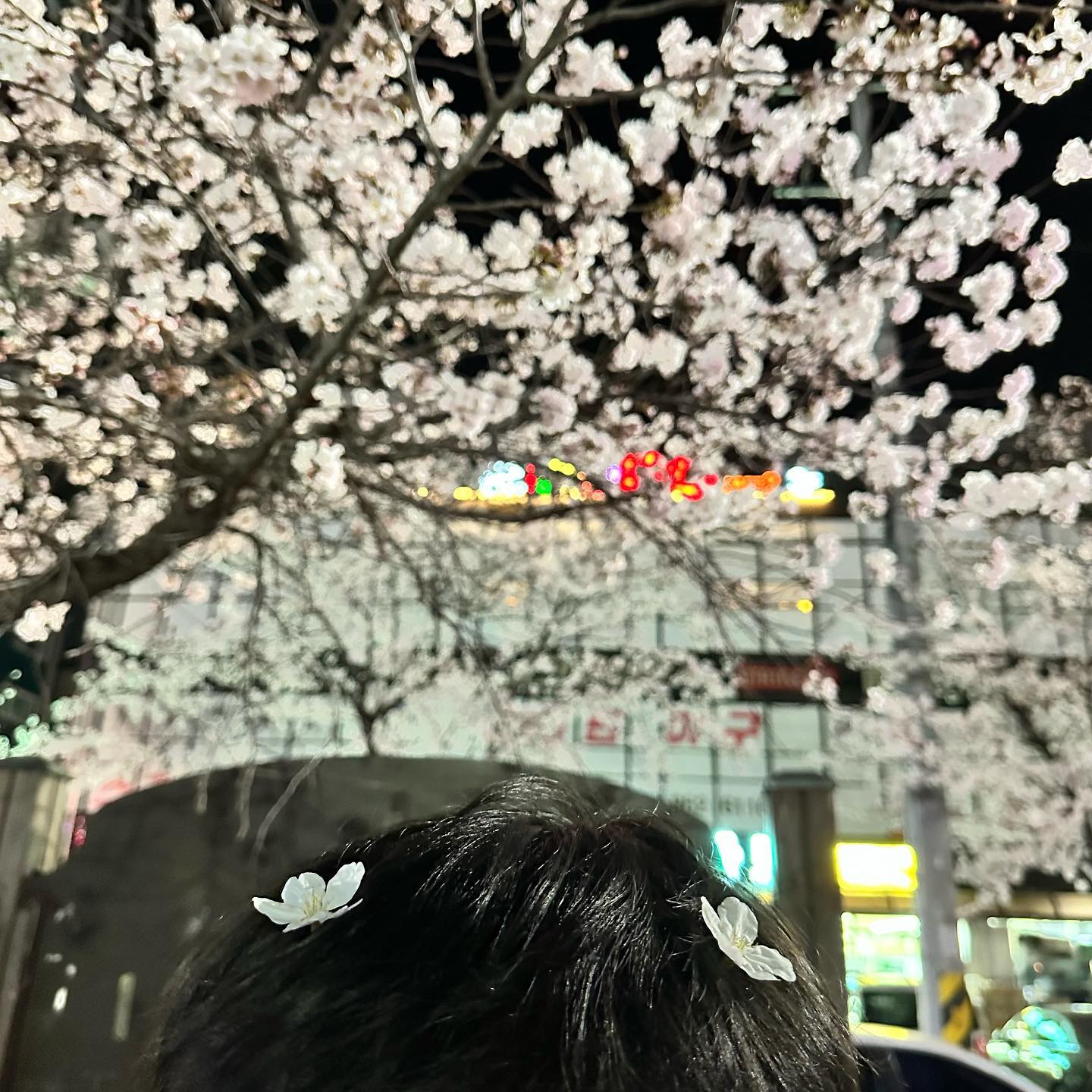 🌸꽃 보러 가서 꽃들과 놀기 성공적🌸

나를 좋아하는 사람들만 만나긔

이런저런 걱정들 때문에 힘들어 했던 나날들 잊어 버리고 이제 좋은 사람들 곁에서 행복하기만 하기로 약속 했던 날🌸 보고싶고 만나고 싶어서 연락 하면 나를 위해 시간을 만들어주고 내가 소중한 사람이라는 걸 알려주는 사람들 곁에 있어서 내 가치를 찾아 가는 행복함을 알려준 사람들 이당❤️‍🩹