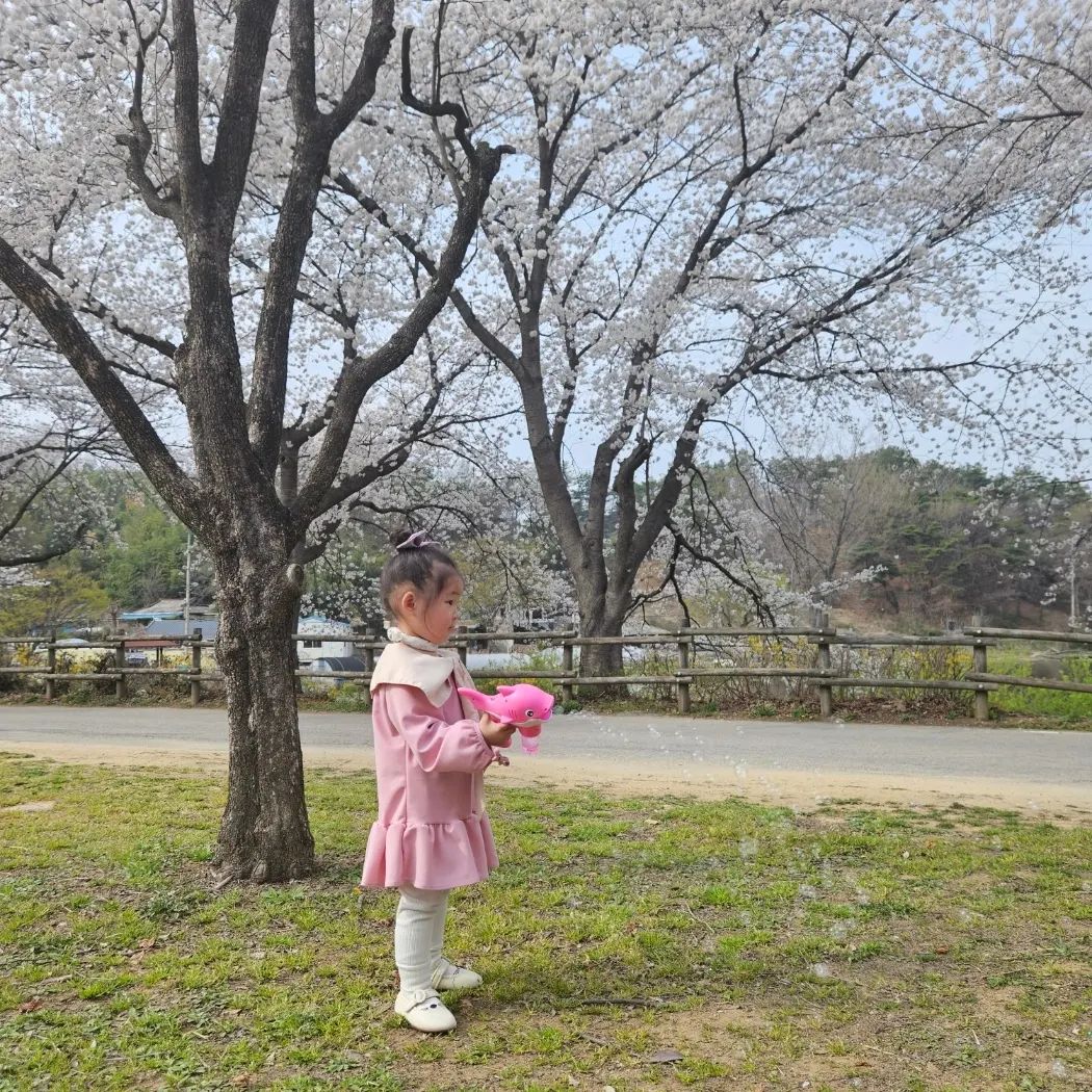 어제 예주랑 꽃놀이하러 갔다왔어요
겸사겸사 놀겸 근처 패밀리랜드 다녀왔어요!
꽃구경도 하고 놀이기구도 타고 너무 오랜만에 가서 그런지 재밌더라구요😆😆

안에 벅스랜드도 있길래 가서 구경했는데 제법 무서워하면서 선생님 말씀들으면서 체험도 잘 하더라구요
뱀과 도마뱀도 만져보구..(엄마는 모대...)
다양한 동물들도 많고 체험할 수 있는것두 많다보니 아이한테 너무 좋았어요!

별 기대 안하고 가서 그런지 시설이 깔끔했구 동물들도 많더라구요! 시설이 조금 높게 되어 있으면 아이 안아서 보여주느라 체력적으로도 많이 힘들었는데 여기는 아이들 눈높이에 맞게 낮게 전시되어 있어서 아이들이 보기 편해서 저희들도 같이 편하게 봐서 너무 좋았어요😋

근데 벅스랜드인데 곤충들이 많이 없어서 아쉬웠어요😂😂
날씨 좋을때 동물원 구경하구 벅스랜드 봐도 좋을꺼같고 아니면 저희처럼 꽃구경 겸 벅스랜드 가도 좋을꺼같아요!
(벅스랜드는 입장권 결제 해 주셔야 해용!)

알차게 놀았는지 5시쯤 실신...
쪼꼼만 자고...저녁에 일찍자야 되는데...
이른 육퇴 안뇽....🖐🖐