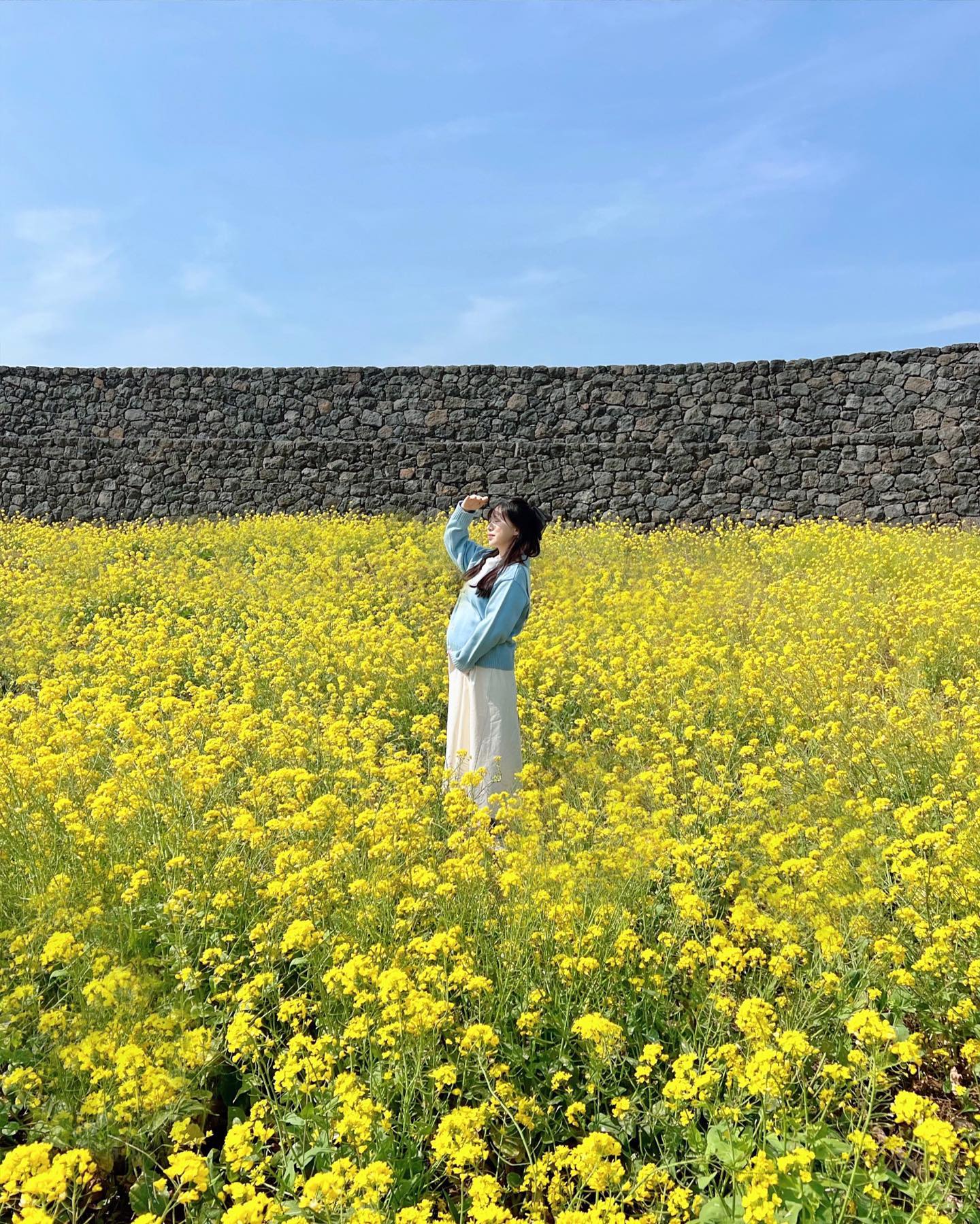 요새 핫하다는 별방진
사람없구요
유채는 예쁘네🌼🌼
날씨요정인 우리 쀼
날좋아서 넘나 햄볶
어디가서 임산부 티 안내는데
알아서 호텔 룸업그레이드와 식당은 뷰 좋고 조용한 곳까지 너무 대접 잘받아서 햄볶🥰
울 쭌이 임산부는 비행기안된다며 해외로 태교여행 못가서 아쉬웠는데 매번 오는 제주따위가 넘나 행복해버림 
모든 사람이 배려와 양보해줘서 감사합니다 💕
나만큼 행복한 임산부 있냐규…
울 안나집을 엄빠라 생각하는 댕댕이셋
ㅋㅋㅋㅋㅋㅋㅋ
덕분에 아가들 걱정안하고 제주여행 잘했오❤️#별방진#유채꽃 #제주만삭스냅 #제주 #태교여행 #jeju