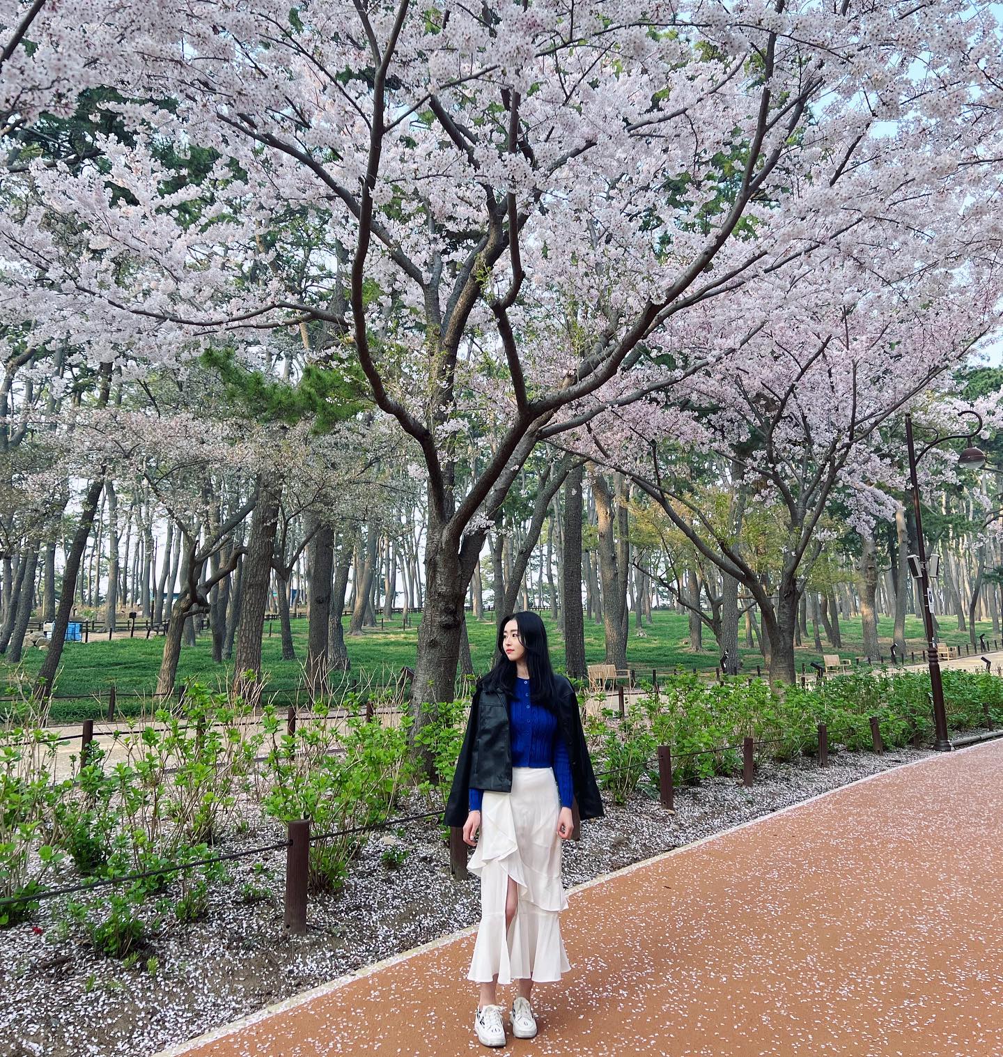 🌸