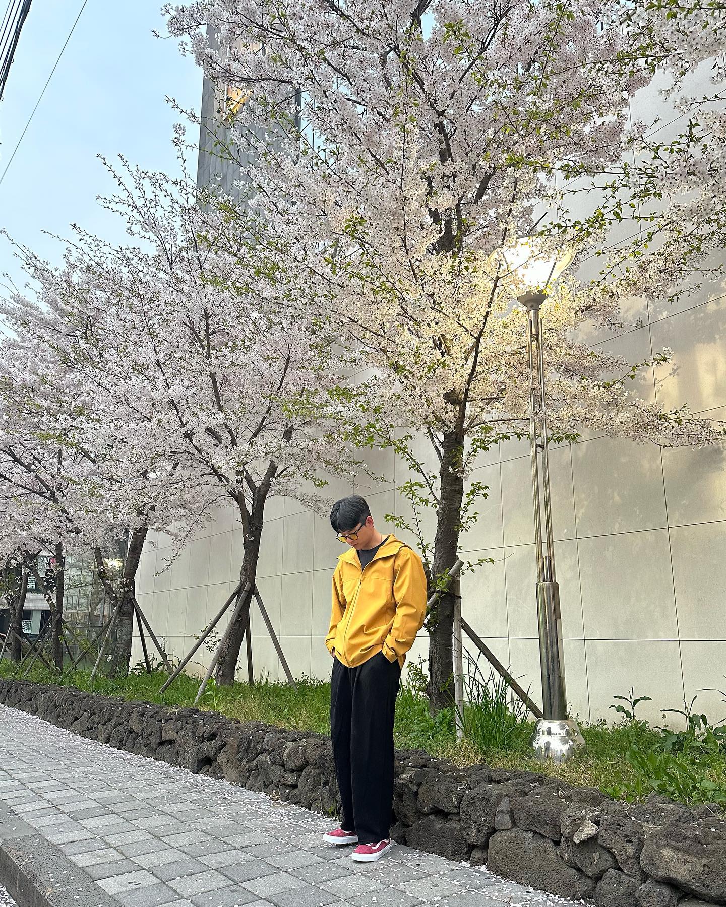 제주소년🌸