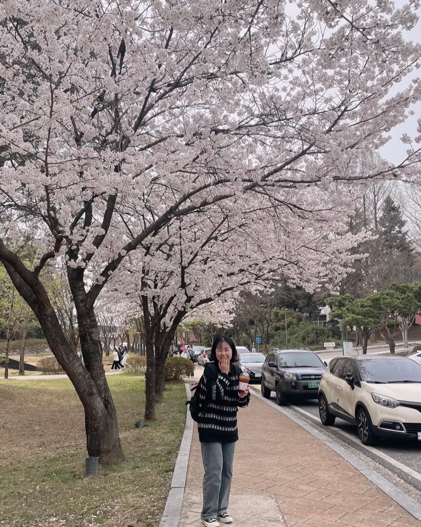 부농 팝콘