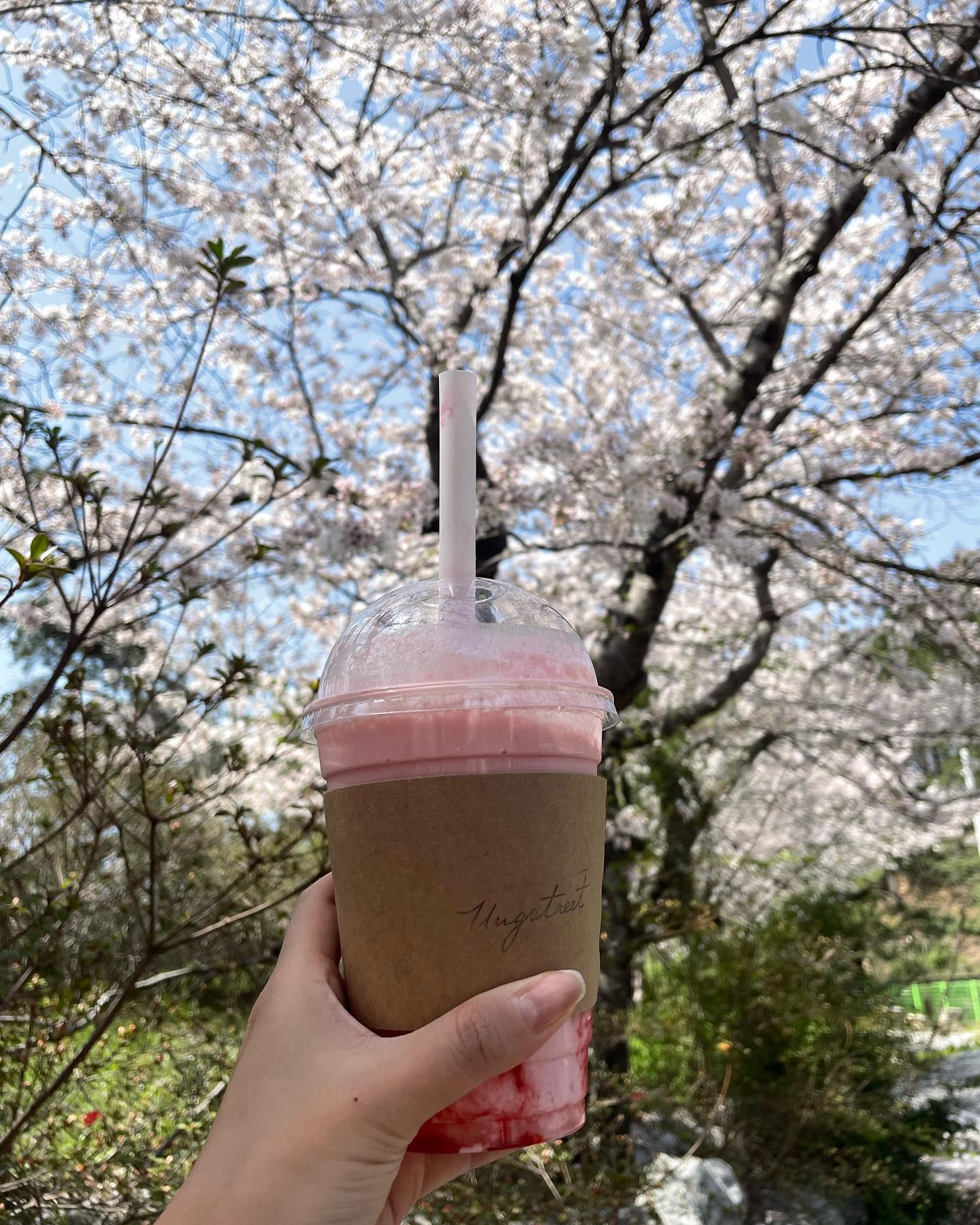 #진해카페 #웅스트릿 
근처가면 항상 들렸다가 오는 나의 최애카페☕️
10주년 소식에 호다닥 다녀옴🙌
커피는 기본이고 음료도 전부 다 맛있어서
갈 때 마다 뭐 마실지 고민하게 만드는 곳❣️
디저트도 종류 다양하고 하나하나 다 너어무 맛있음👍
홀린듯 딸기쉐이크랑 쿠키🍪 딸기케이크🍰까지 포장!!
10주년 이벤트 참여해서 귀여운 캔들도 받구
핫한 약과쿠키랑 항상 솔드아웃이던 딸기케이크도 사서 행보쿠😆
진짜 여기보다 더 맛있는 카페는 없는 듯….!
벌써 10주년이라니 더 오래오래 해주세요🙏

#진해맛집 #창원카페 #10주년 #케이크맛집🍰 
#딸기쉐이크 #딸기케이크 #약과쿠키 #초코쿠키