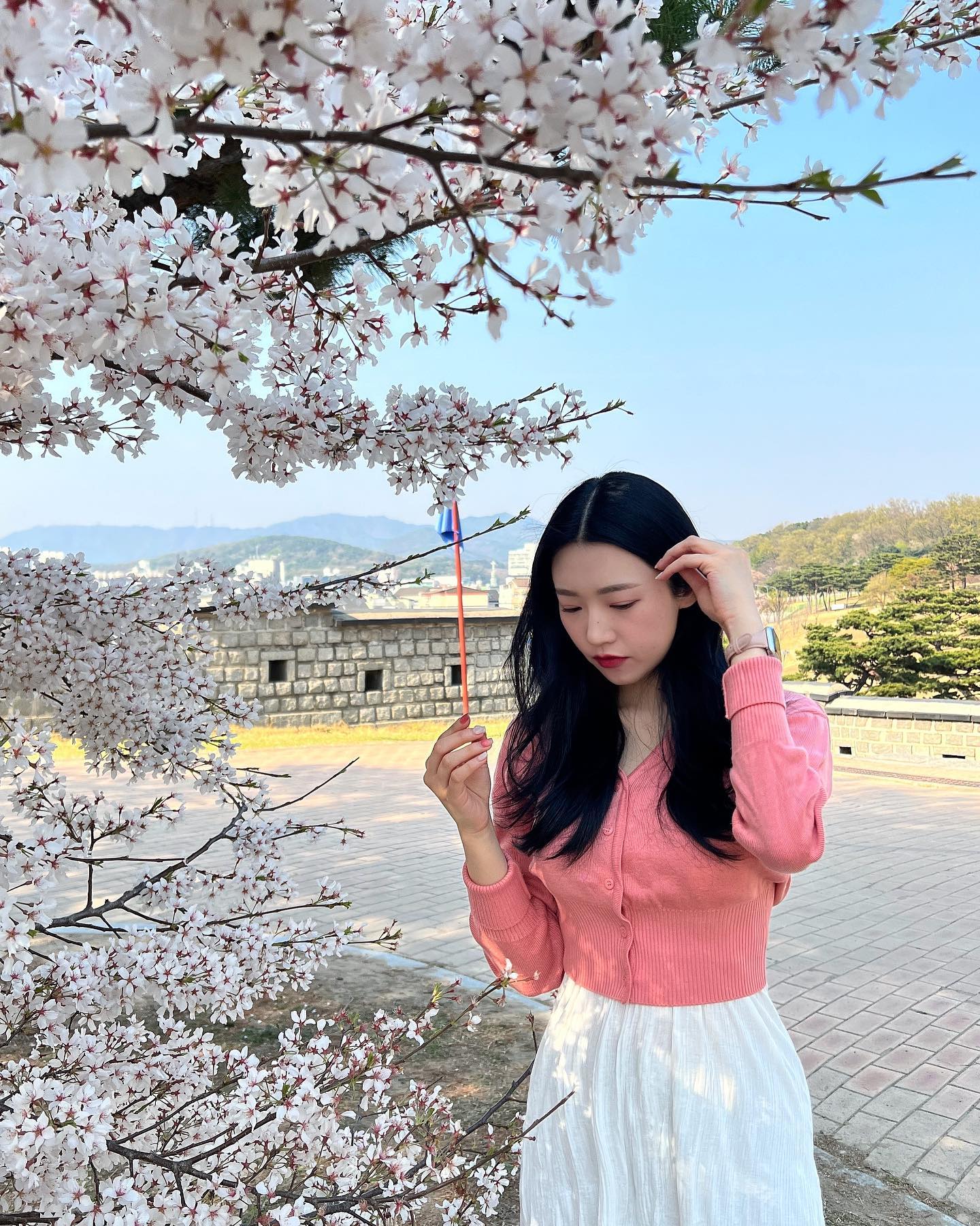 꽃은 언제 봐도 너무 예쁘단 말이야