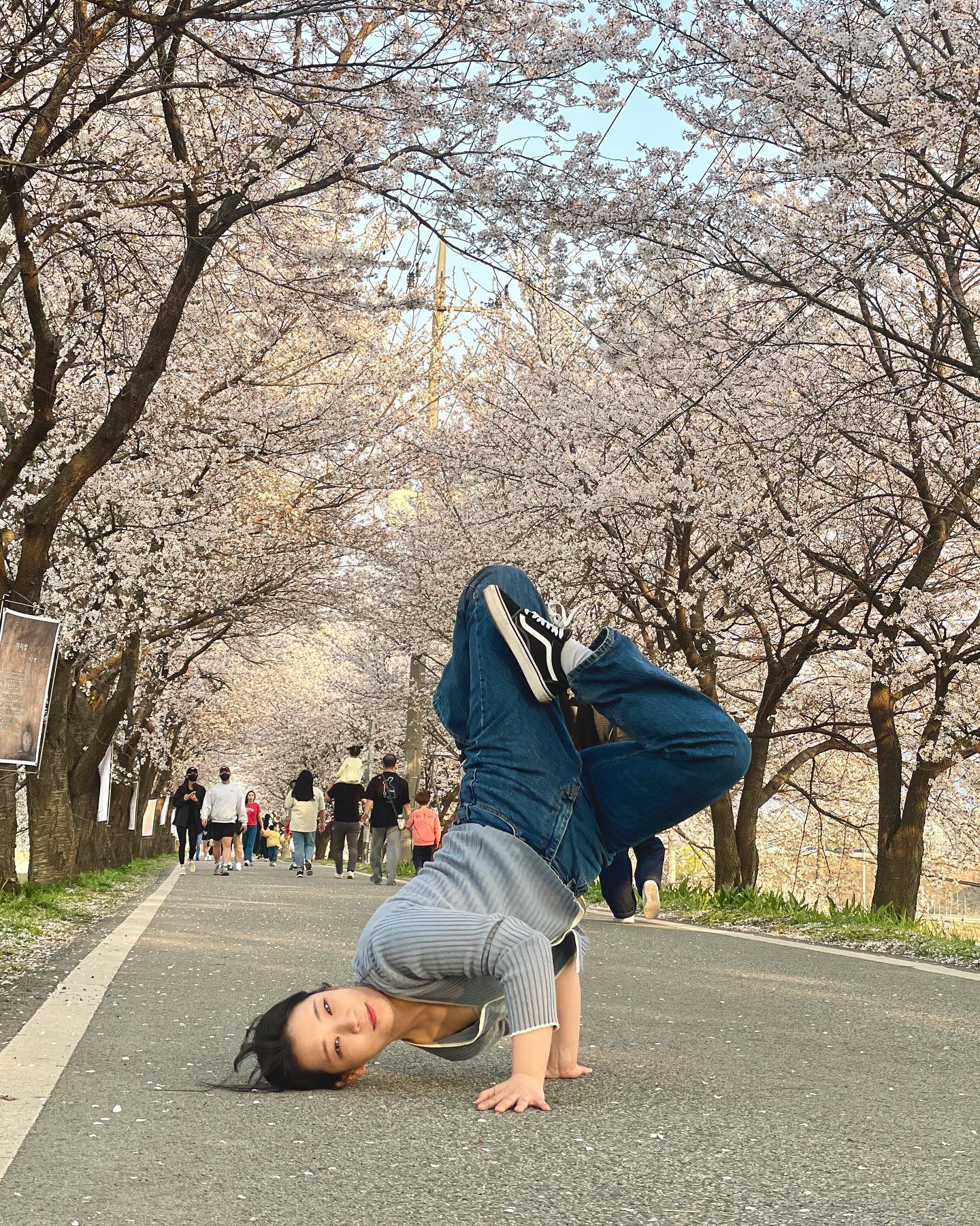 벚꽃 프리즈 성공적🌸