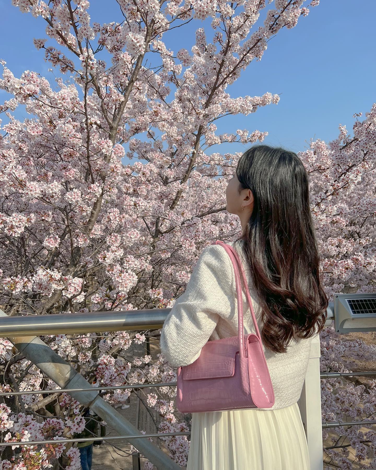🌸벚꽃명소 = 서울숲🌸