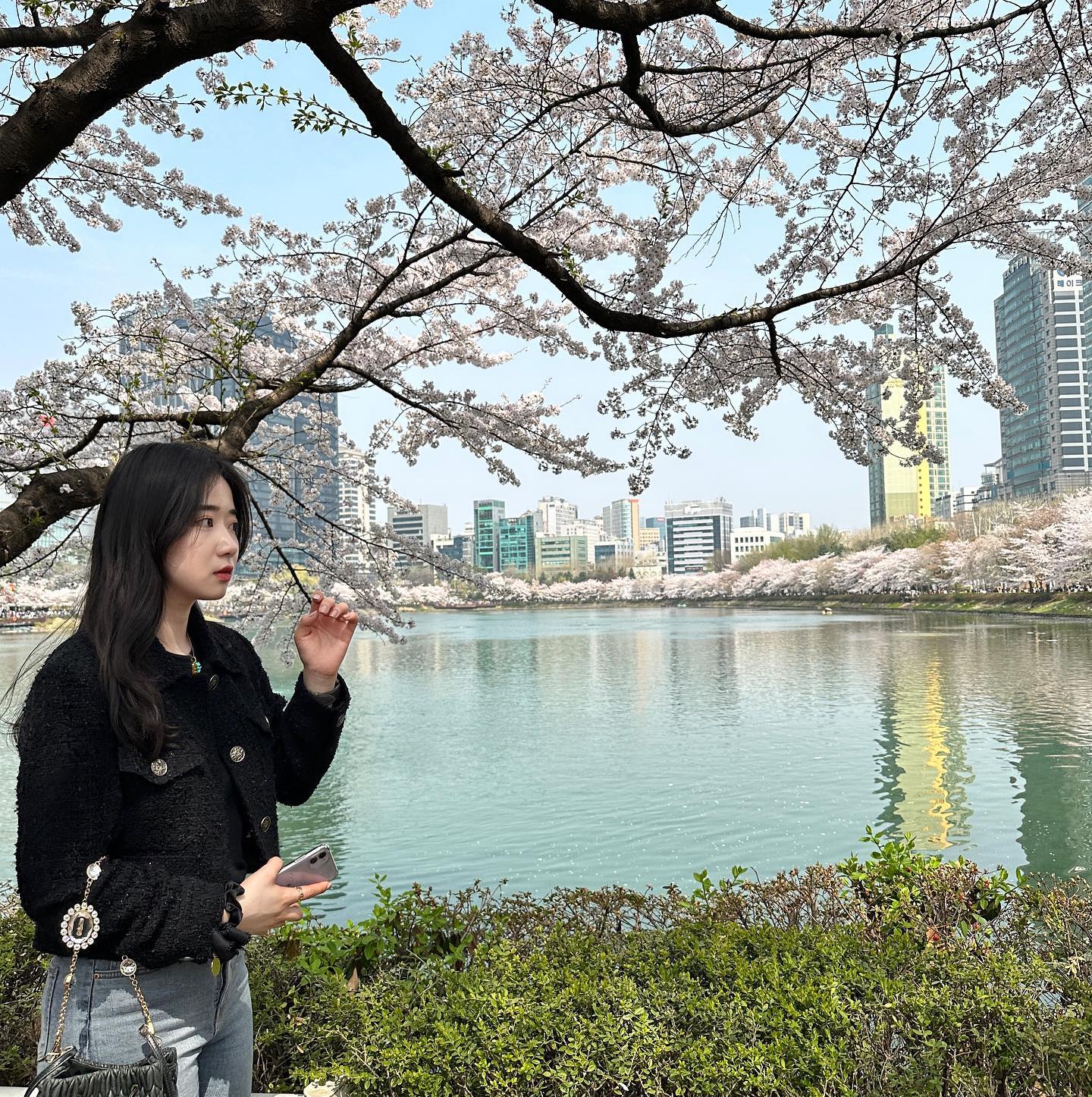 콘텐츠