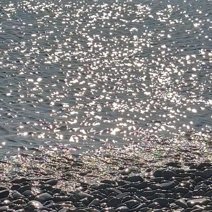 🌊🕊️💙