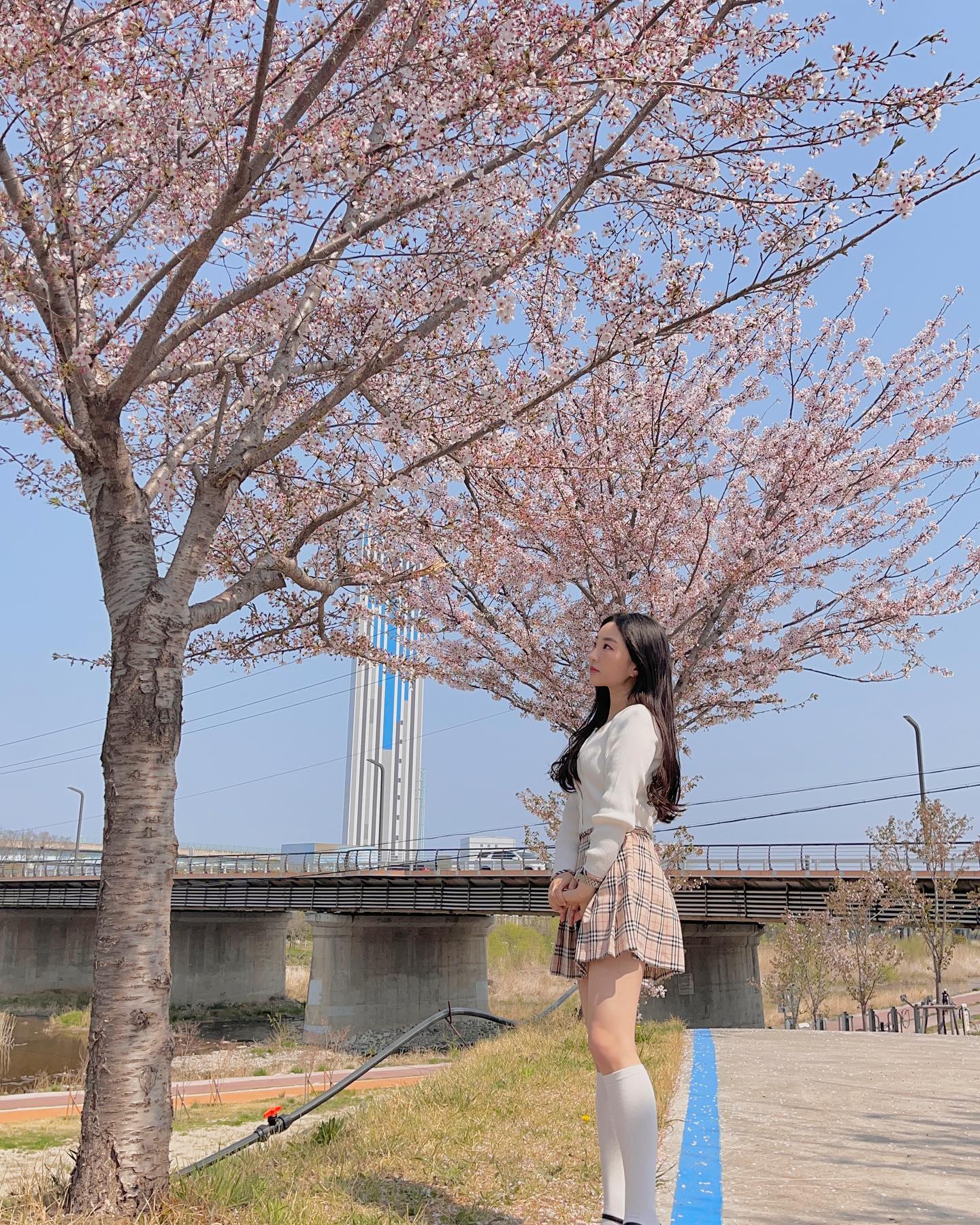 엄마가 벚꽃도 안 보러 다니냐고 혼내서 겨우 나왔는데 나오길 잘함🌸 만-족😊👍🏻
.
.
.
.
.
.

#동해 #instagram #28 #韓国人 #instagood #like4like #셀스타그램 #얼스타그램 #인스타그램 #일상 #さくら #동해여행 #전천강 #데일리 #셀카 #selfie #ootd #いいね返し #likeforlikes #フォローバック  #fff #l4f #동해포토존 #좋반 #강릉 #daily #벚꽃 #l4l #벚꽃축제  #벚꽃명소