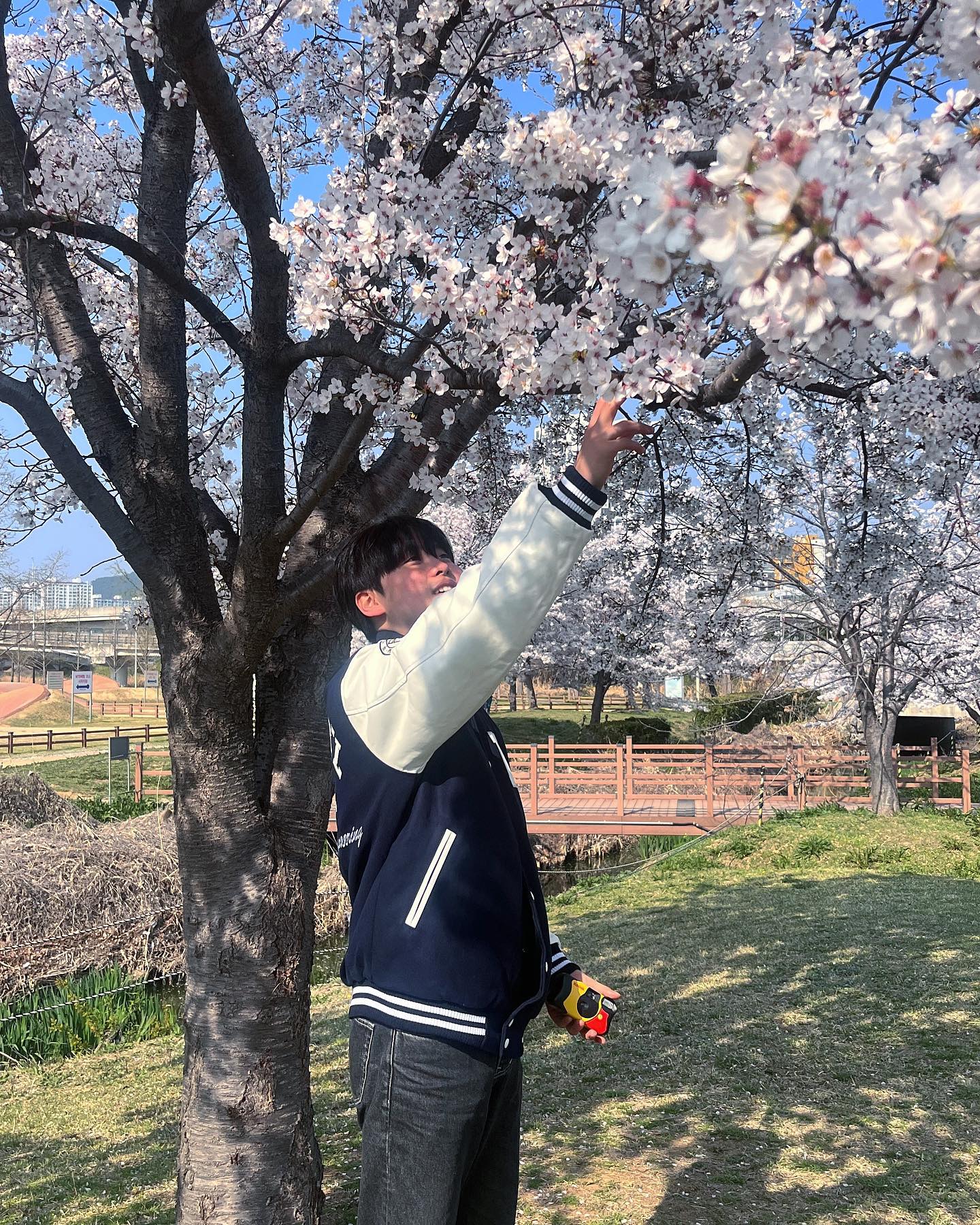 🌸🌸