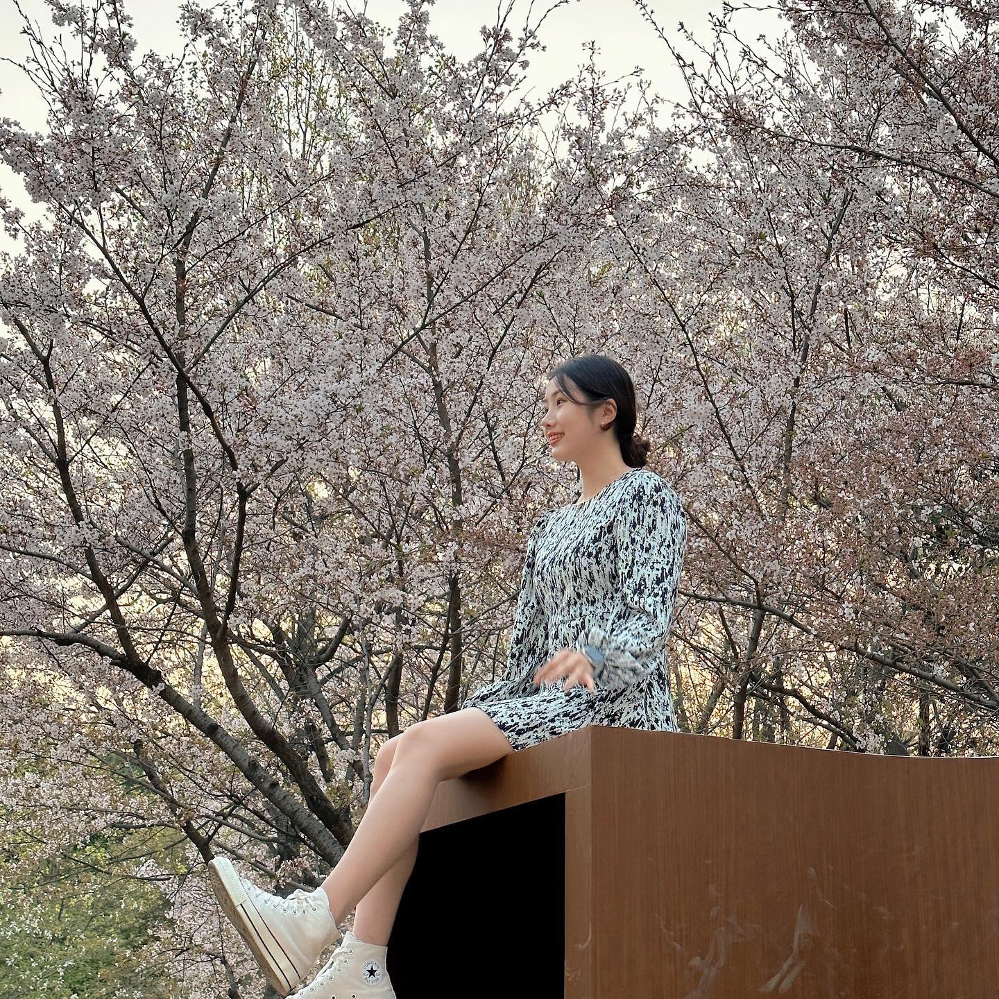 두번째 꽃노리🌸 데이트코스 다 짜와준 짱짱맨포태😎🫶🏻🫶🏻#보봬