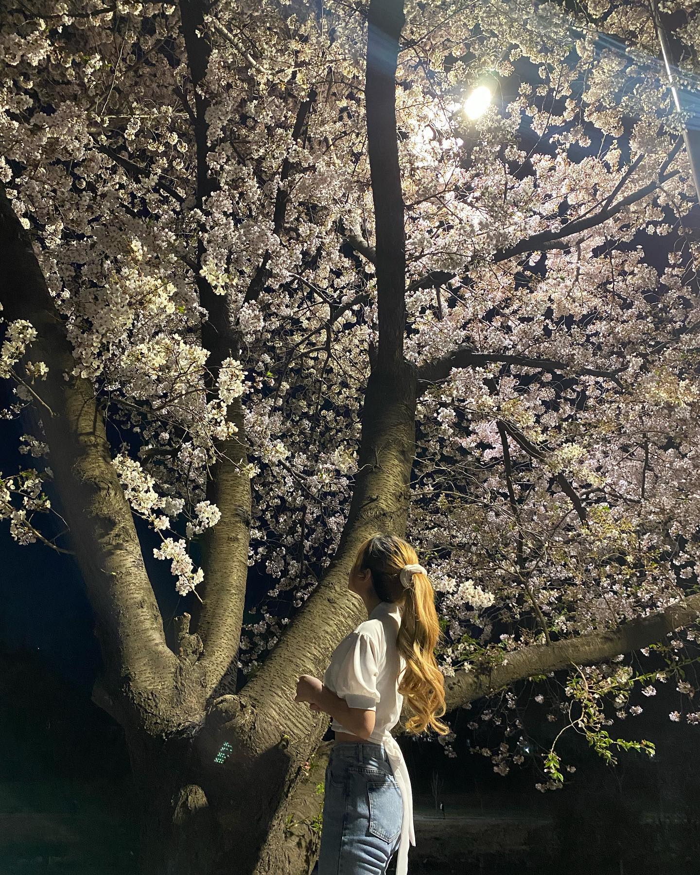 🌸