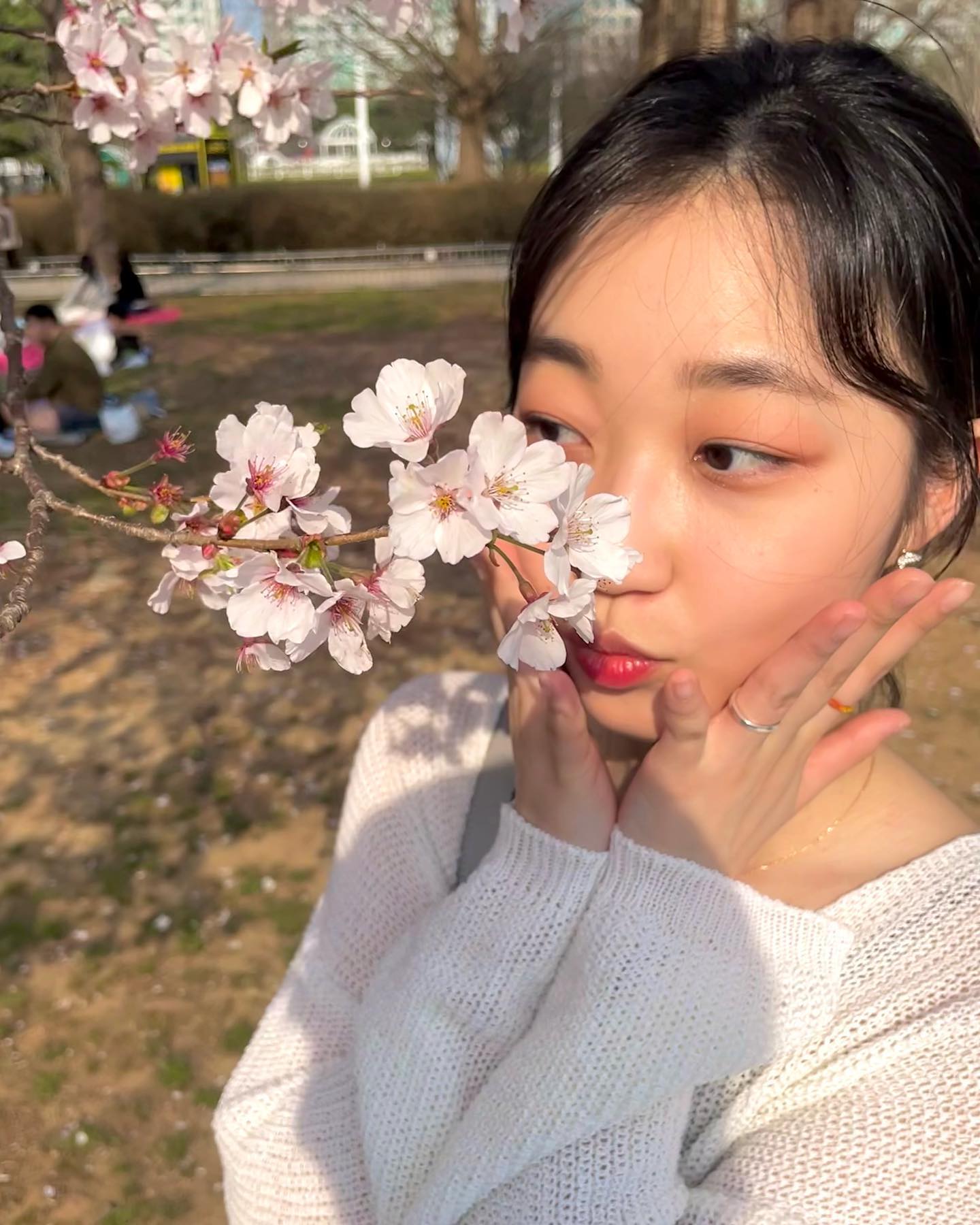 곰댕이랑 봄 나들이 🌸🍃👩🏻‍❤️‍💋‍👨🏻 

#봄 #데이트 #벚꽃 #벚꽃명소 #석촌호수 #일산호수공원 #올림픽공원 #나홀로나무 #일상 #셀카 #셀스타그램 #연영과 #자체휴강 #대학생 #연쮀의봄 #연쮀의일상 #cherryblossom #spring #selfie #daily