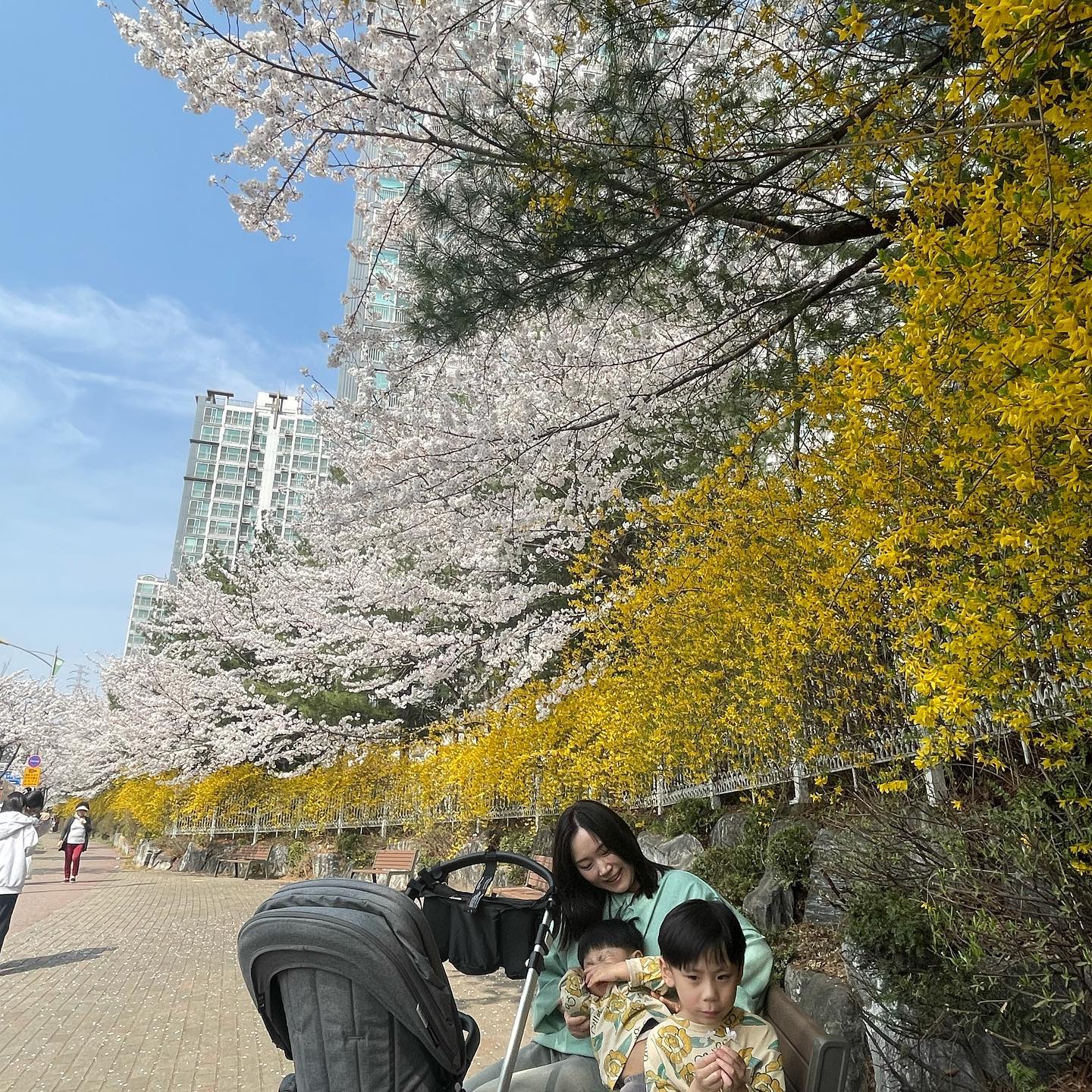 🌸
워킹맘 되고 나름 바빴던 이번 봄…
다음주 비소식에 벚꽃 골든타임 놓칠까봐 
주말에 사진남기기 미션 클리어했당 😉
.
화사함을 사진에 왕창 담고싶은 마음에 
길어진 윤우얼굴 sorry~♥️

#동네벚꽃이최고 
#여섯번째윤우의봄
#두번째지우의봄
#허브라더스