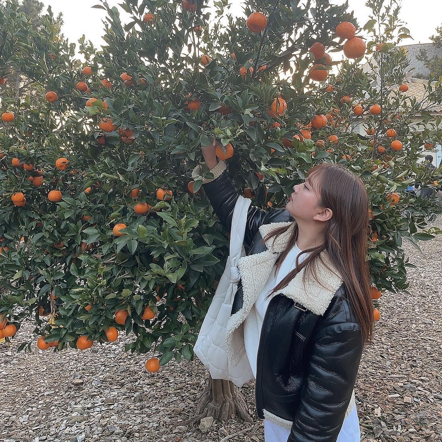 마미갬성☺️
(귤은 따면 안되욥🍊)