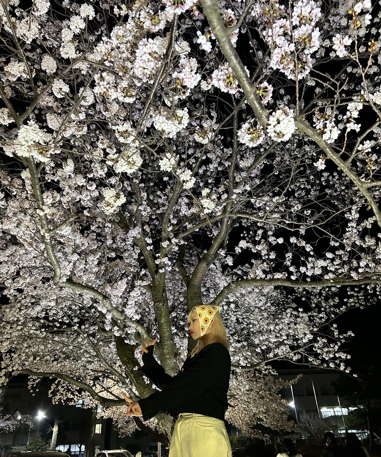 밤에봐도 예브다